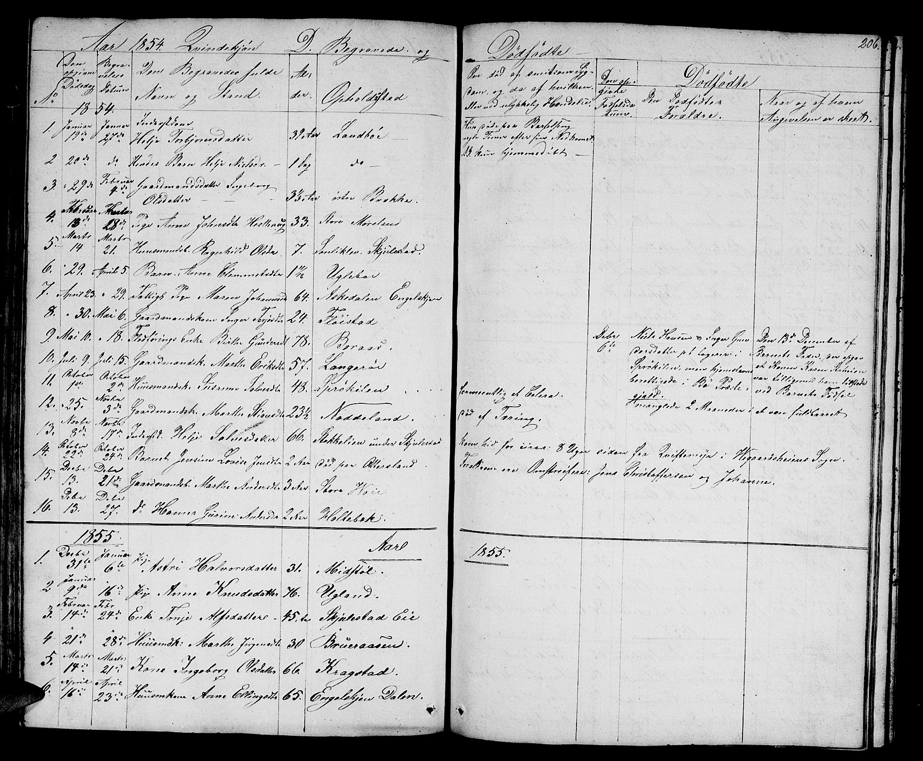 Austre Moland sokneprestkontor, AV/SAK-1111-0001/F/Fb/Fba/L0001: Parish register (copy) no. B 1, 1842-1868, p. 206