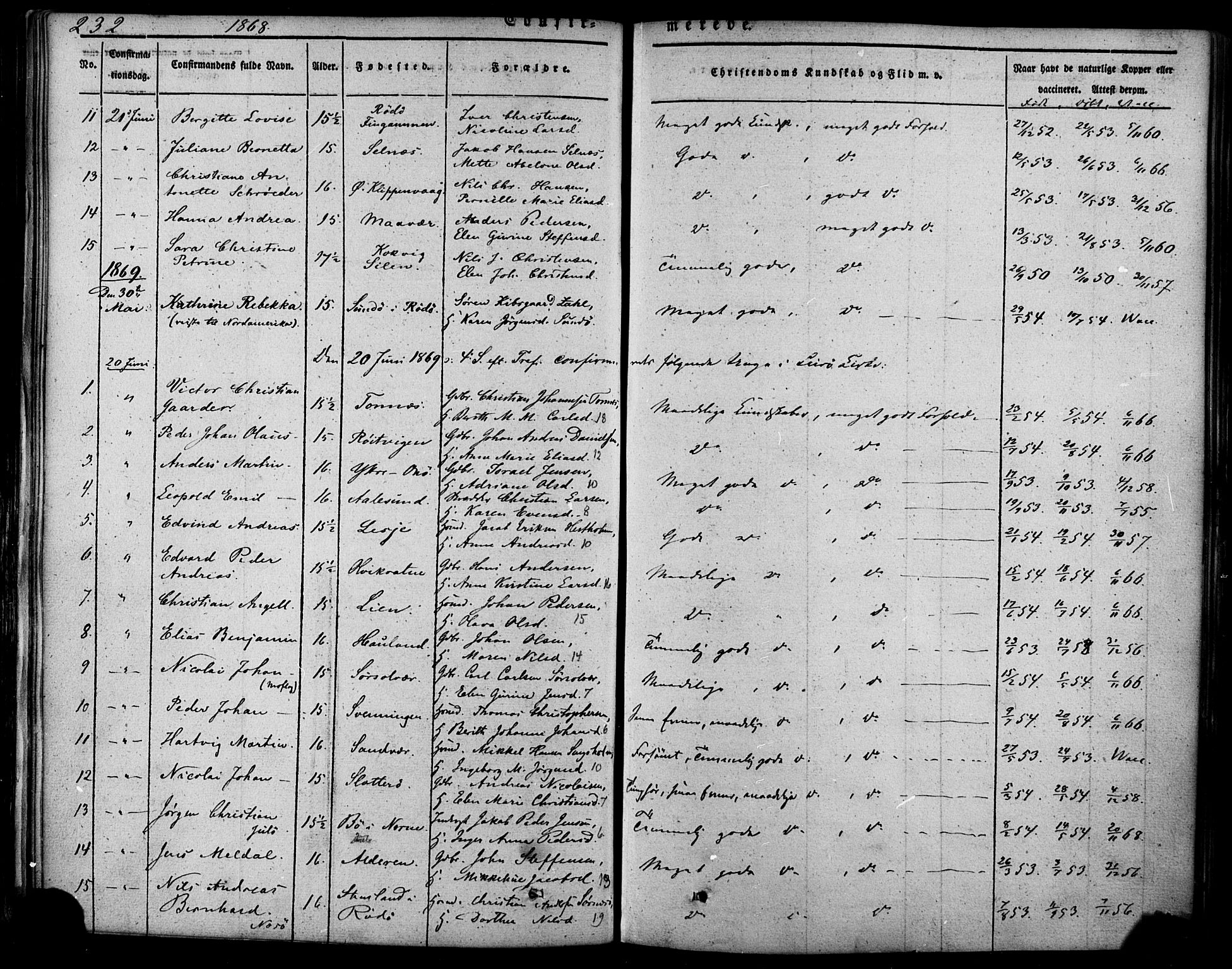 Ministerialprotokoller, klokkerbøker og fødselsregistre - Nordland, SAT/A-1459/839/L0567: Parish register (official) no. 839A04, 1863-1879, p. 232