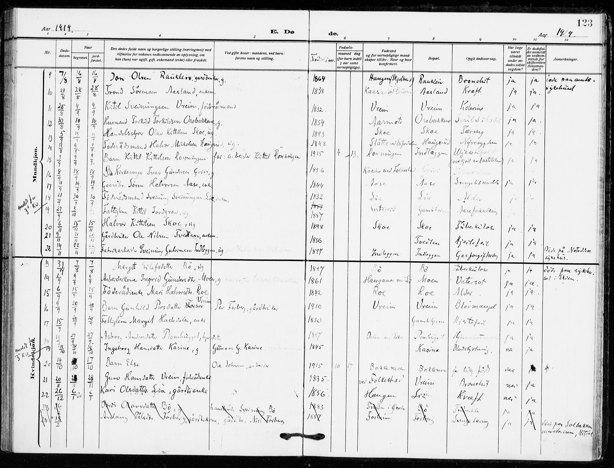 Bø kirkebøker, SAKO/A-257/F/Fa/L0013: Parish register (official) no. 13, 1909-1921, p. 123