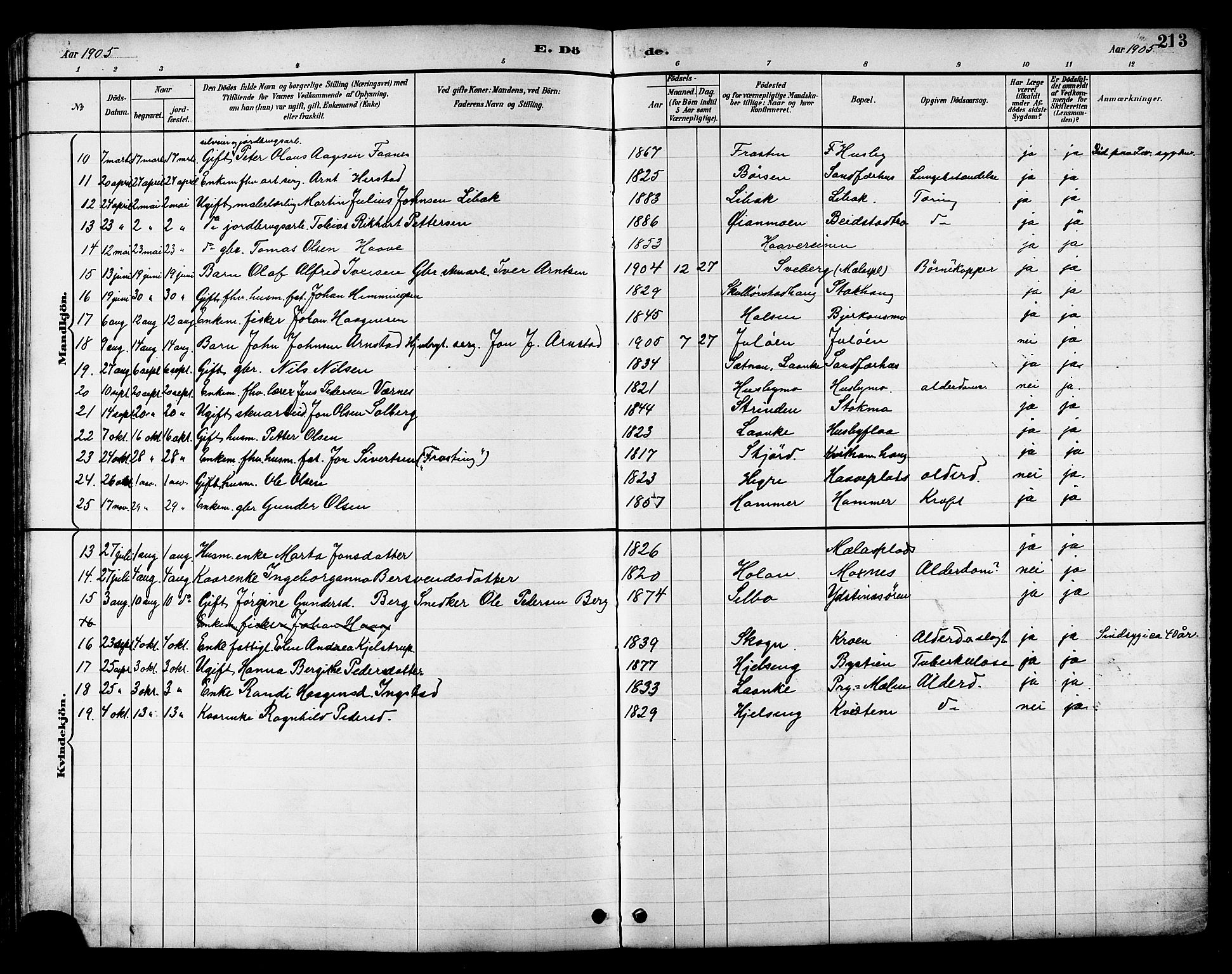 Ministerialprotokoller, klokkerbøker og fødselsregistre - Nord-Trøndelag, AV/SAT-A-1458/709/L0087: Parish register (copy) no. 709C01, 1892-1913, p. 213