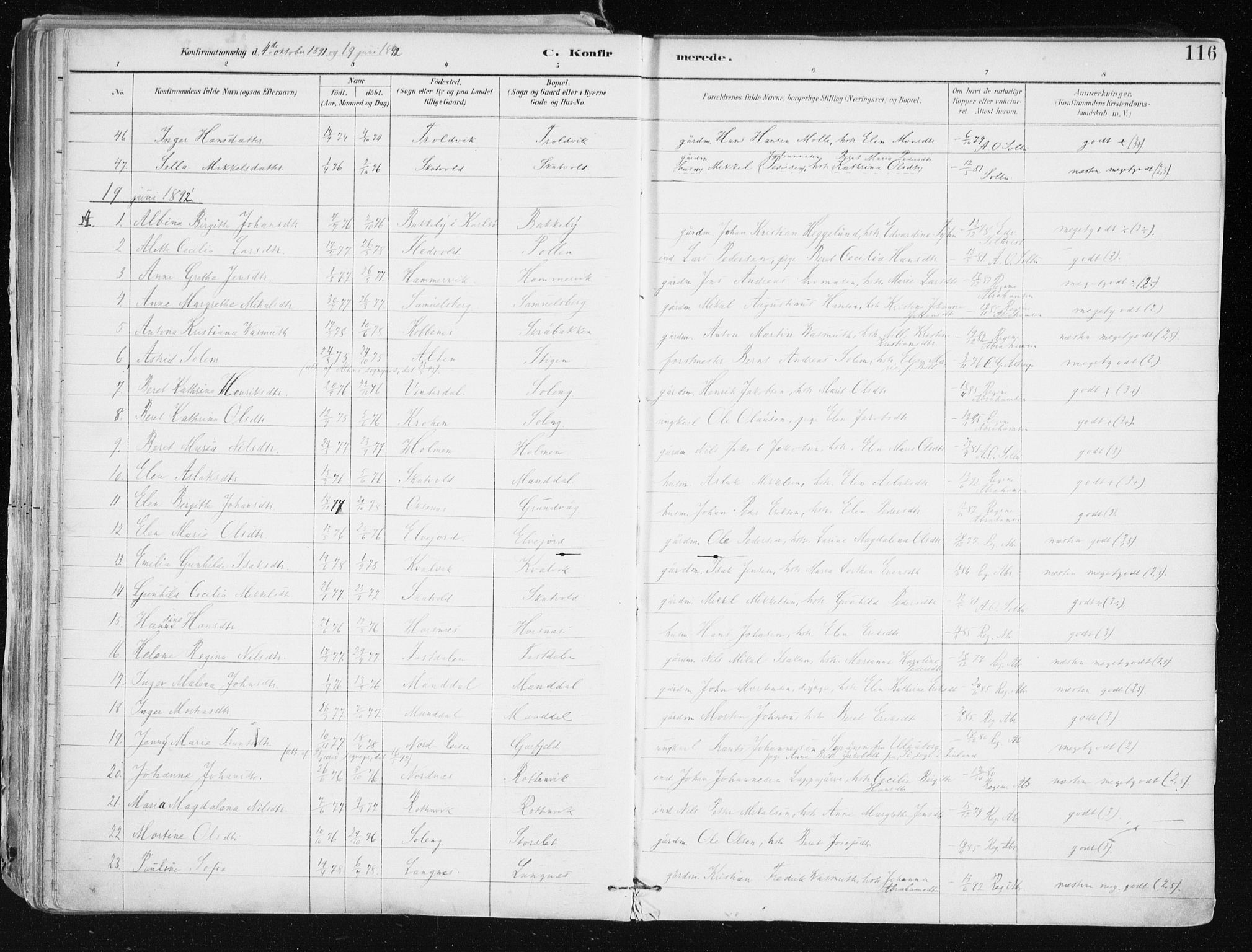 Lyngen sokneprestembete, AV/SATØ-S-1289/H/He/Hea/L0008kirke: Parish register (official) no. 8, 1891-1902, p. 116