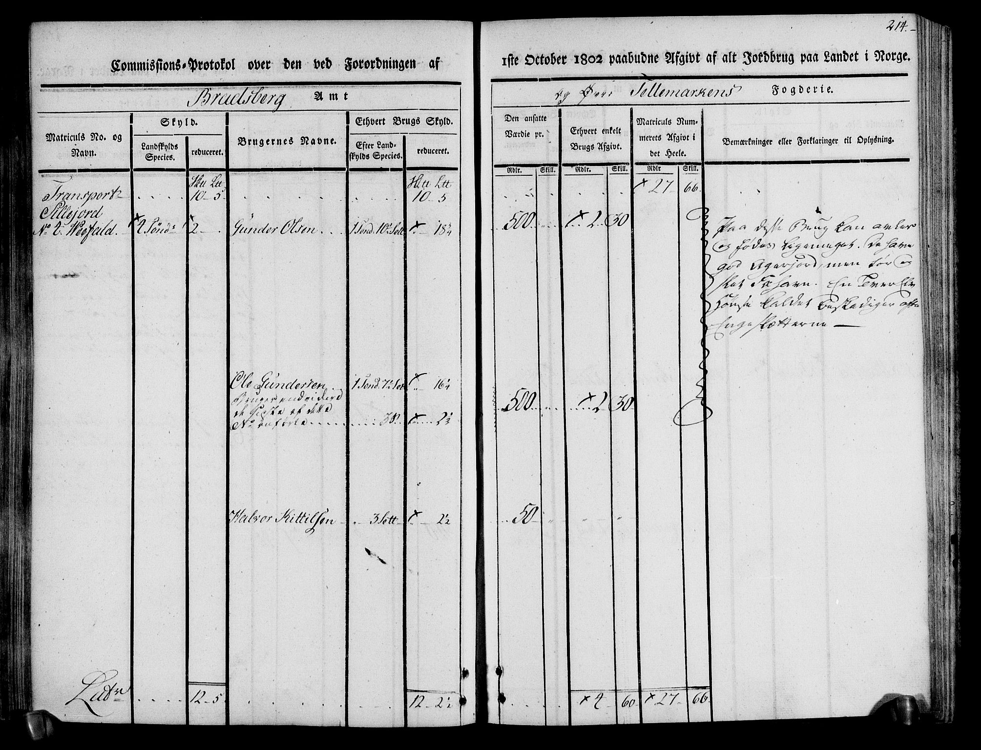 Rentekammeret inntil 1814, Realistisk ordnet avdeling, AV/RA-EA-4070/N/Ne/Nea/L0074: Øvre Telemarken fogderi. Kommisjonsprotokoll for fogderiets østre del - Tinn, Hjartdal og Seljord prestegjeld., 1803, p. 214