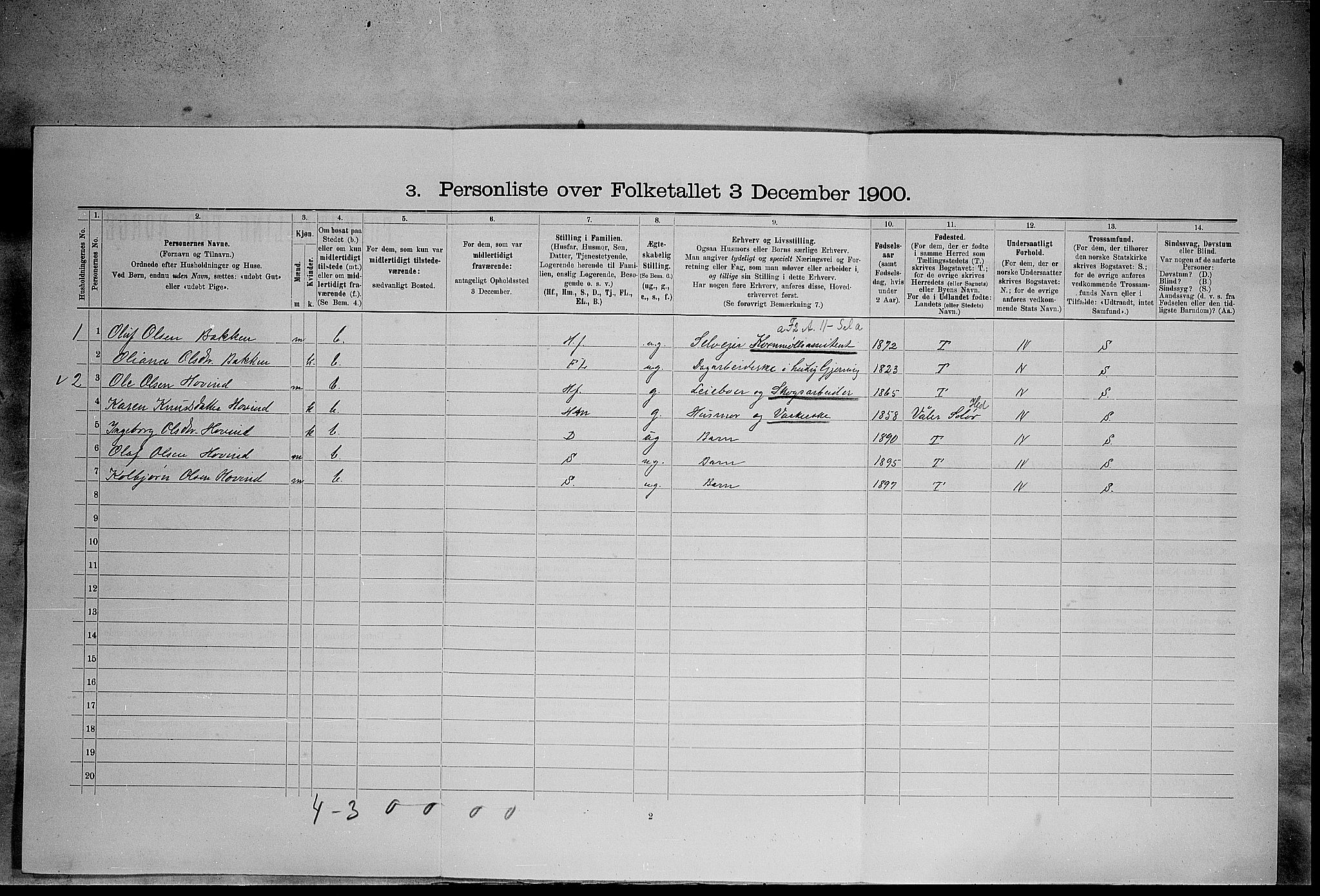 SAH, 1900 census for Elverum, 1900, p. 864