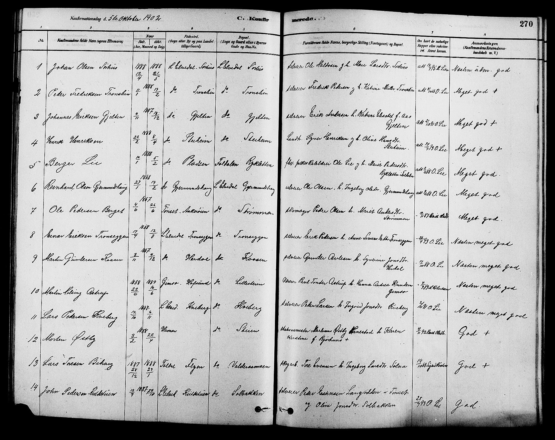 Alvdal prestekontor, SAH/PREST-060/H/Ha/Hab/L0003: Parish register (copy) no. 3, 1878-1907, p. 270