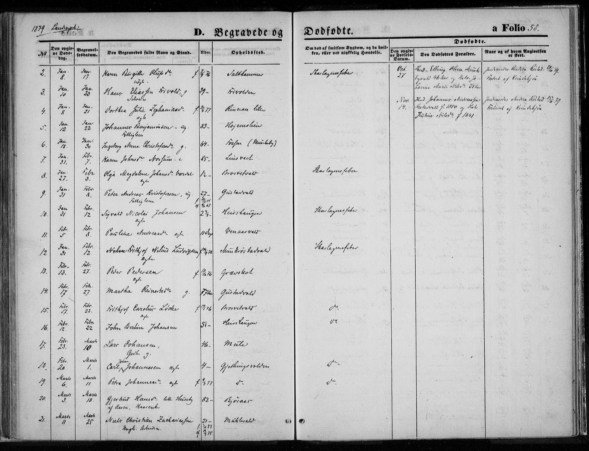 Ministerialprotokoller, klokkerbøker og fødselsregistre - Nord-Trøndelag, SAT/A-1458/720/L0187: Parish register (official) no. 720A04 /2, 1875-1879, p. 58