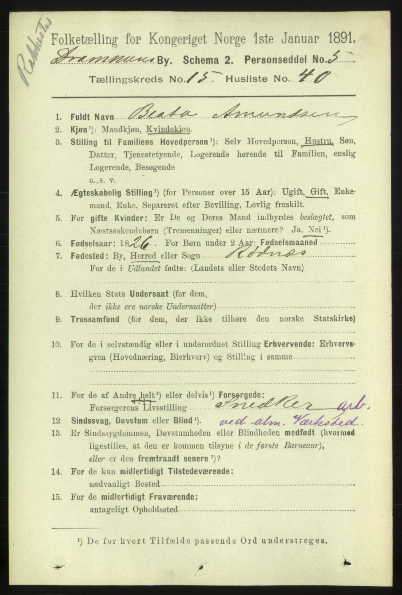 RA, 1891 census for 0602 Drammen, 1891, p. 10950