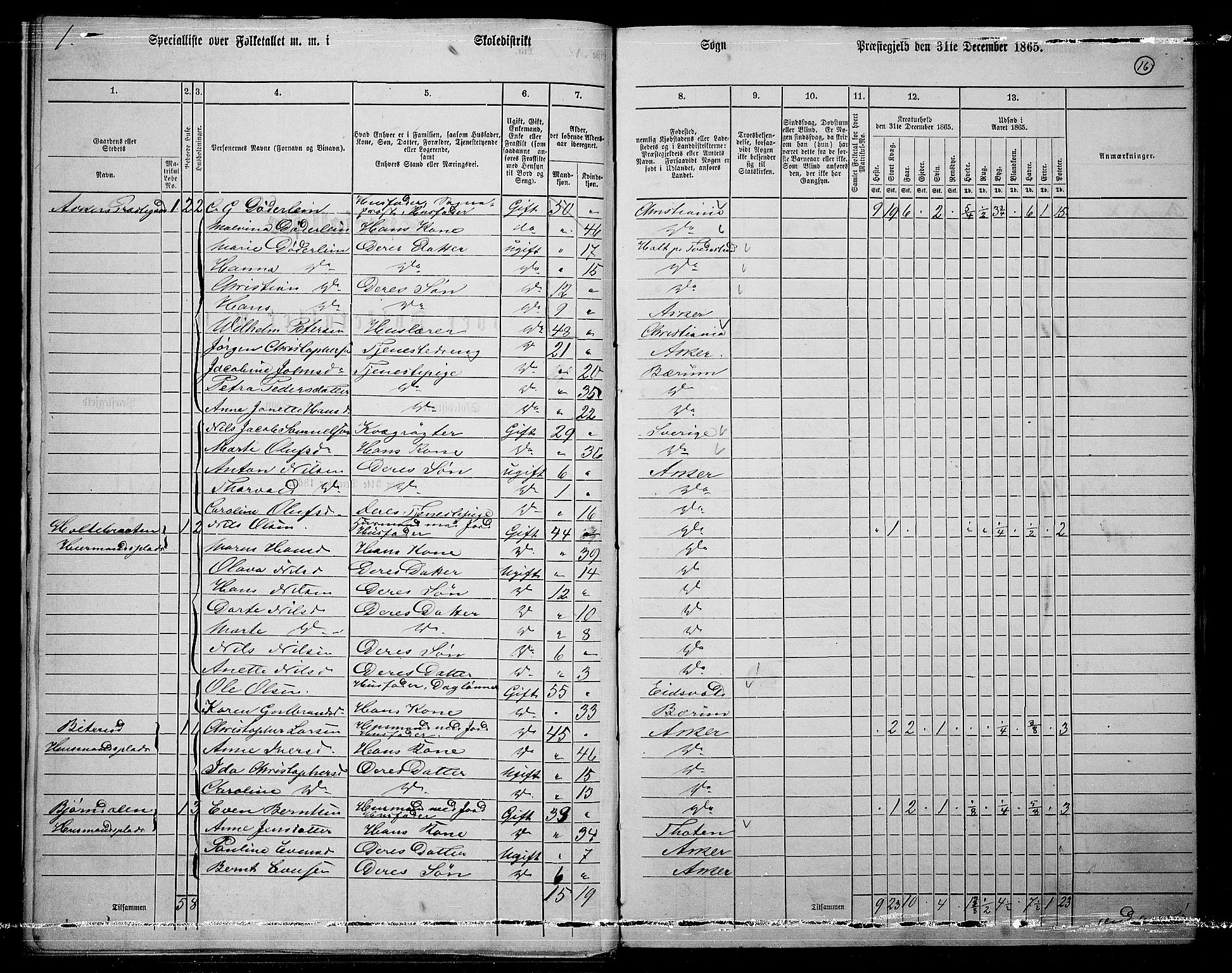 RA, 1865 census for Asker, 1865, p. 18