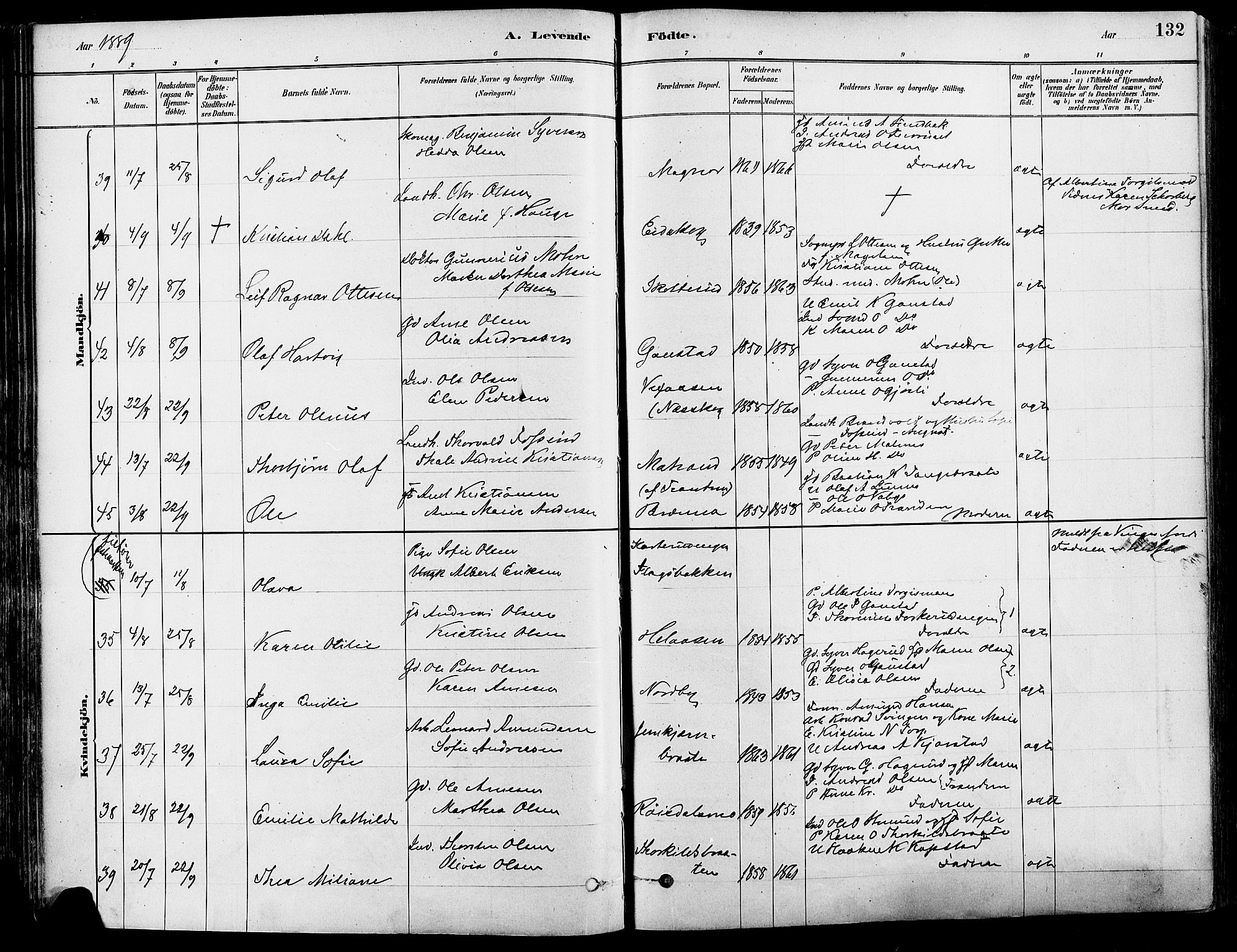 Eidskog prestekontor, AV/SAH-PREST-026/H/Ha/Haa/L0003: Parish register (official) no. 3, 1879-1892, p. 132