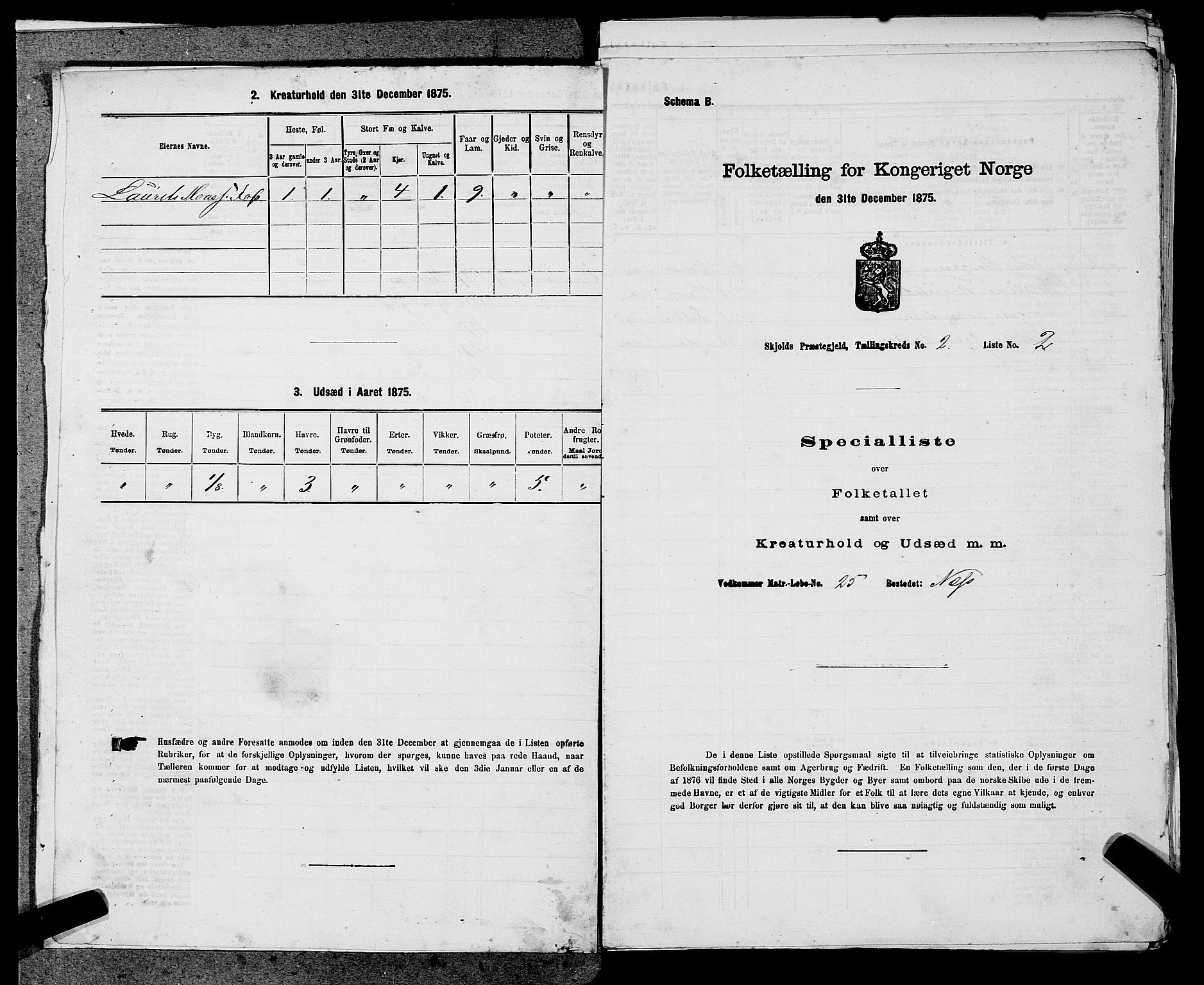 SAST, 1875 census for 1154P Skjold, 1875, p. 129