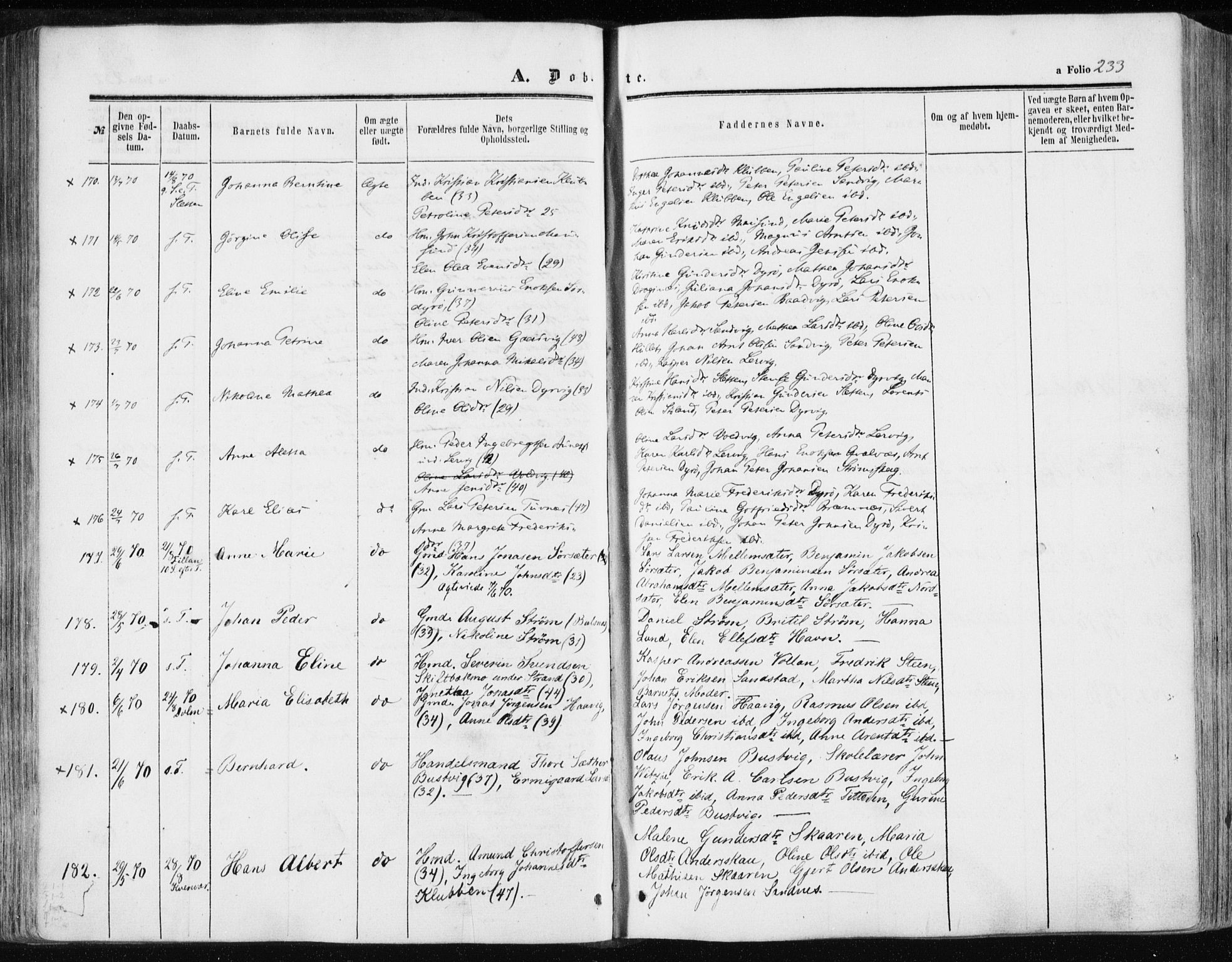Ministerialprotokoller, klokkerbøker og fødselsregistre - Sør-Trøndelag, SAT/A-1456/634/L0531: Parish register (official) no. 634A07, 1861-1870, p. 233