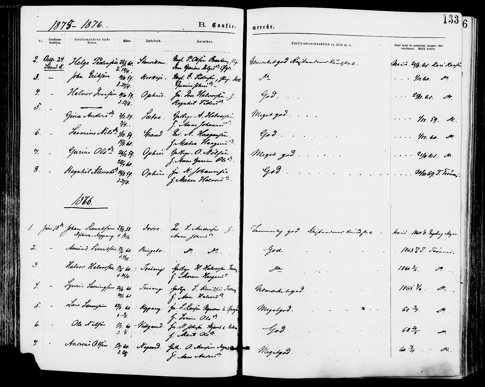 Stor-Elvdal prestekontor, AV/SAH-PREST-052/H/Ha/Haa/L0001: Parish register (official) no. 1, 1871-1882, p. 133