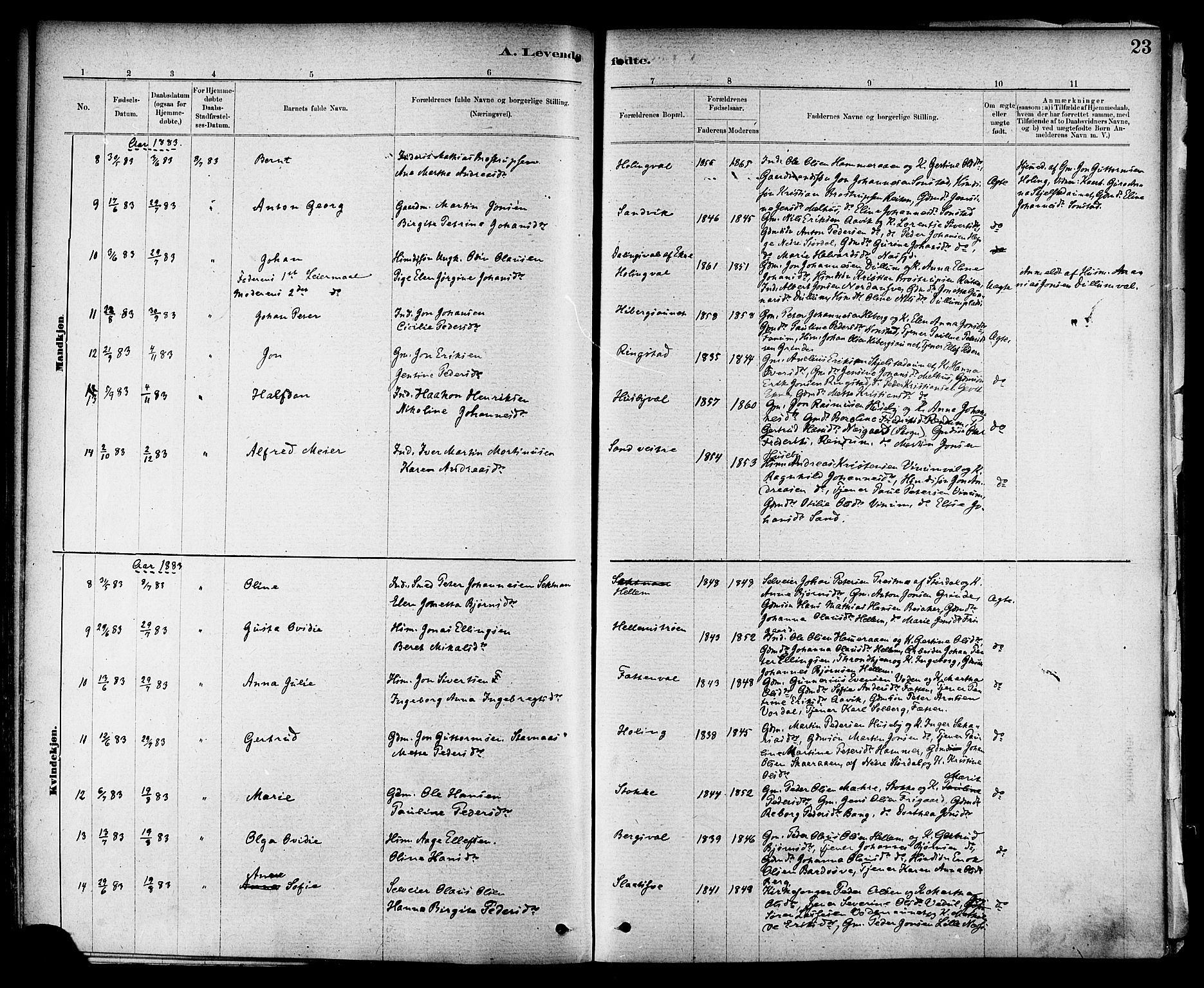 Ministerialprotokoller, klokkerbøker og fødselsregistre - Nord-Trøndelag, AV/SAT-A-1458/714/L0130: Parish register (official) no. 714A01, 1878-1895, p. 23