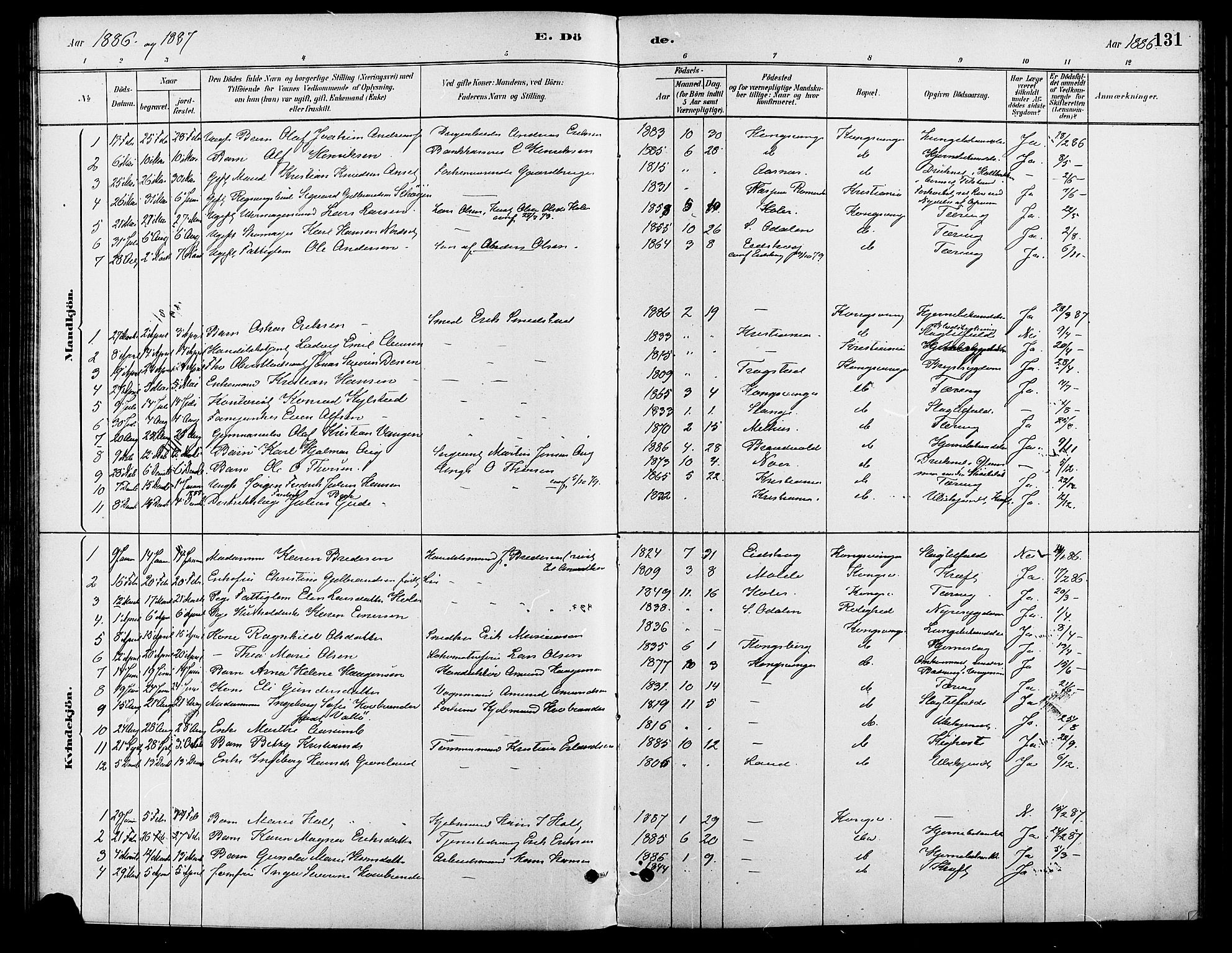 Vinger prestekontor, AV/SAH-PREST-024/H/Ha/Haa/L0013: Parish register (official) no. 13, 1881-1897, p. 131