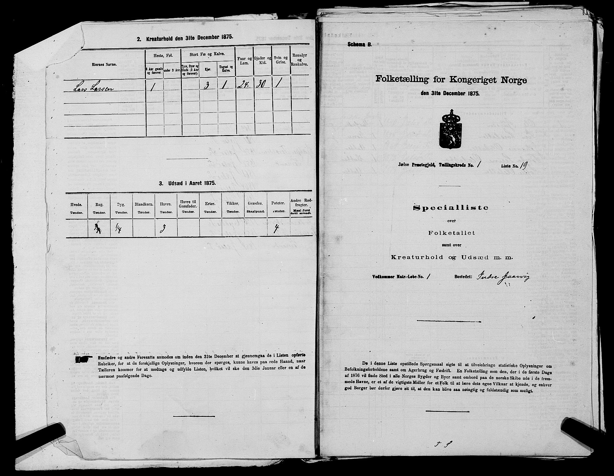 SAST, 1875 census for 1138P Jelsa, 1875, p. 41