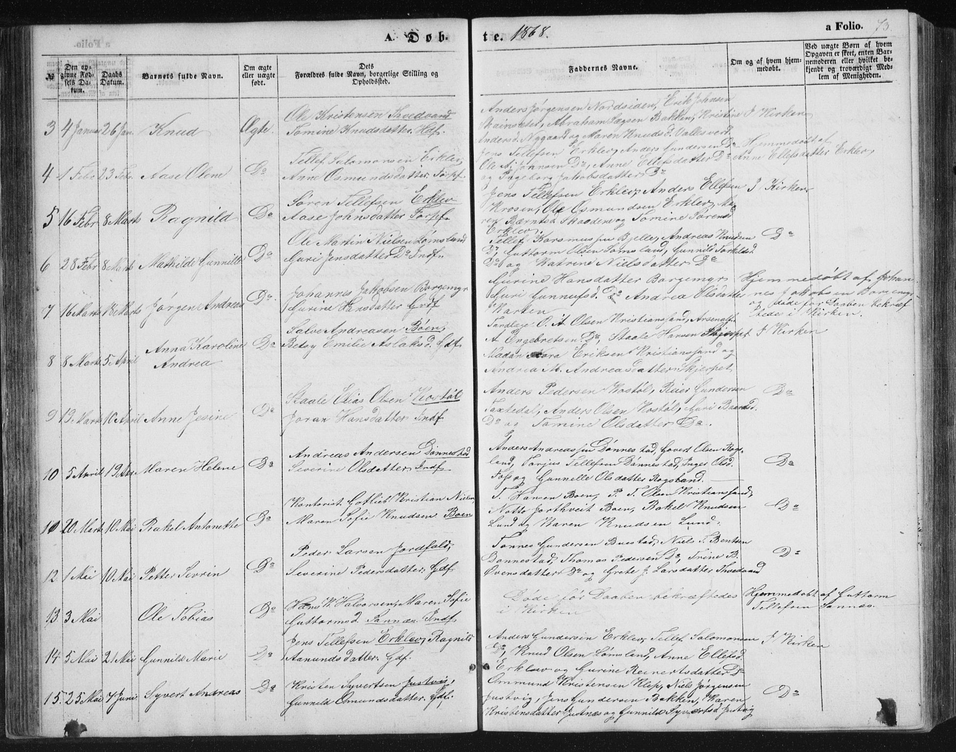 Tveit sokneprestkontor, SAK/1111-0043/F/Fb/L0003: Parish register (copy) no. B 3, 1854-1886, p. 73