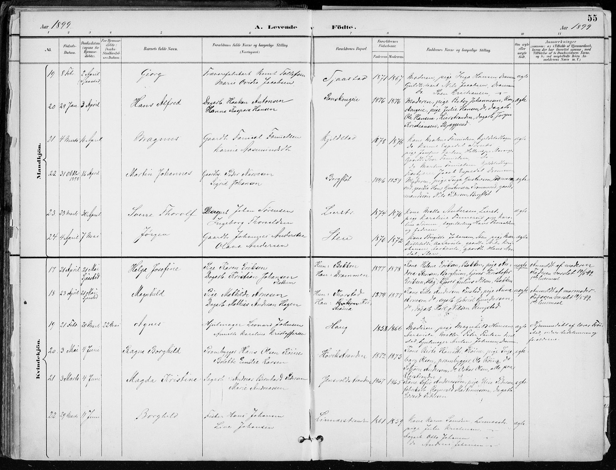Lier kirkebøker, AV/SAKO-A-230/F/Fa/L0016: Parish register (official) no. I 16, 1895-1900, p. 55