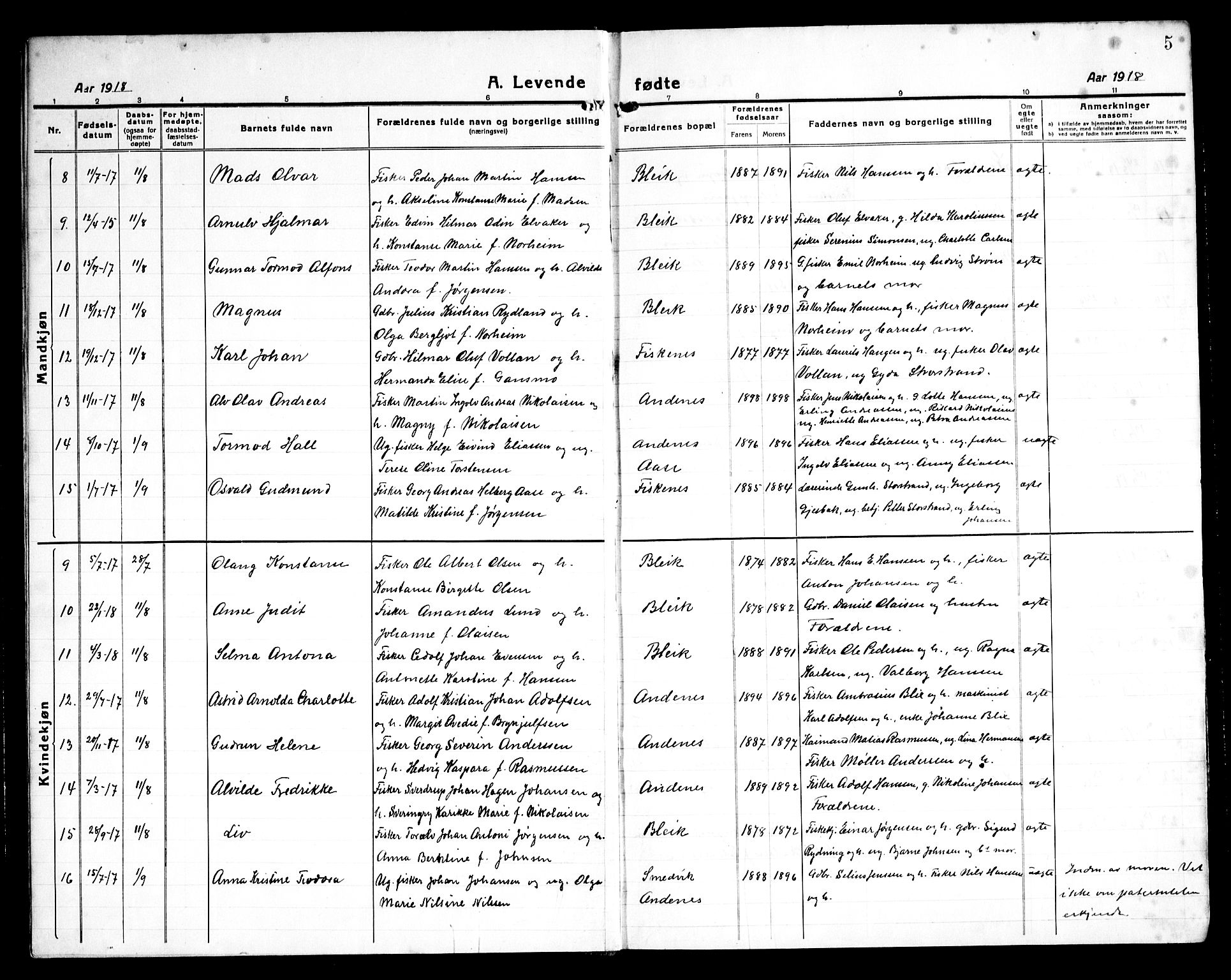 Ministerialprotokoller, klokkerbøker og fødselsregistre - Nordland, SAT/A-1459/899/L1450: Parish register (copy) no. 899C05, 1918-1945, p. 5