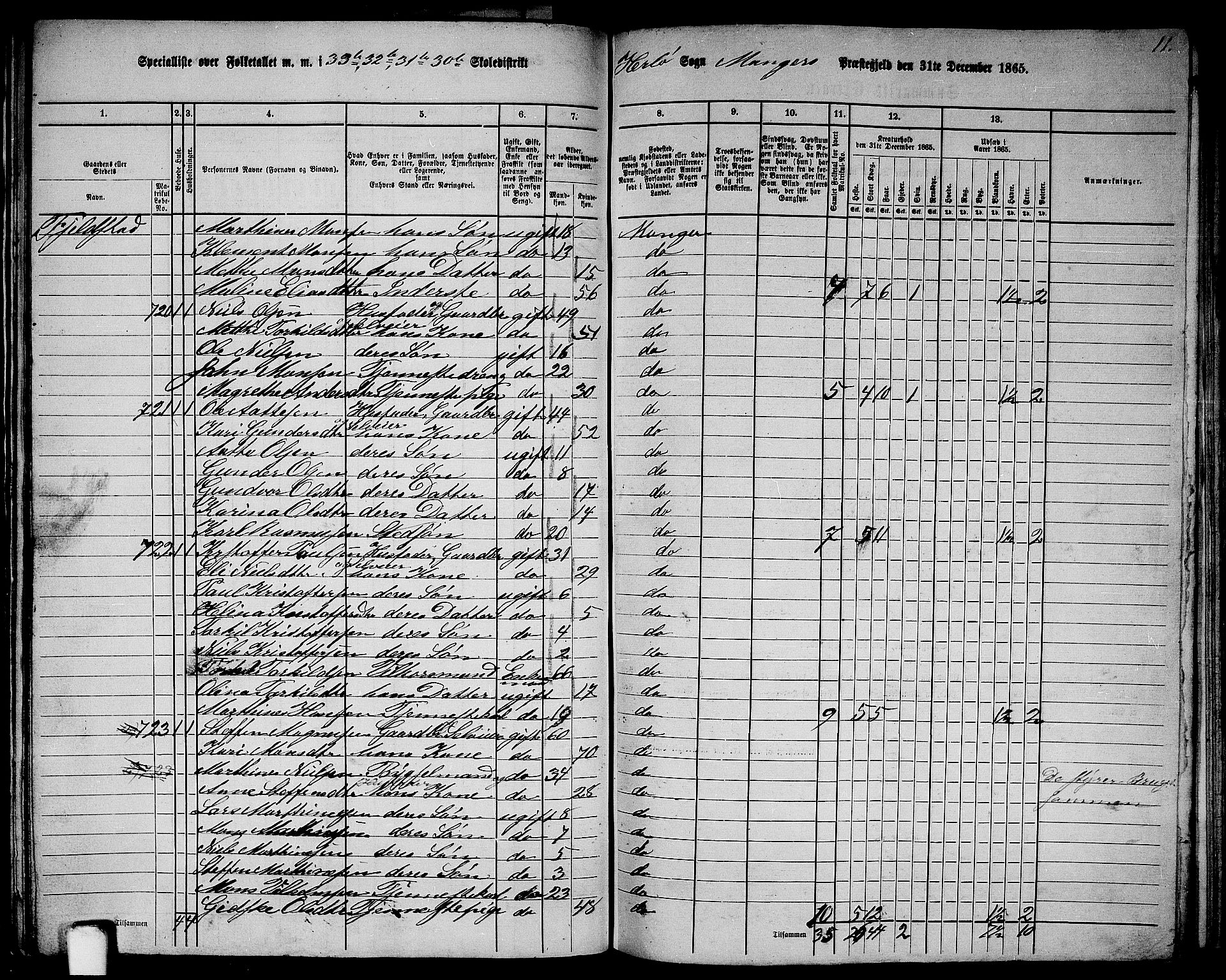 RA, 1865 census for Manger, 1865, p. 213