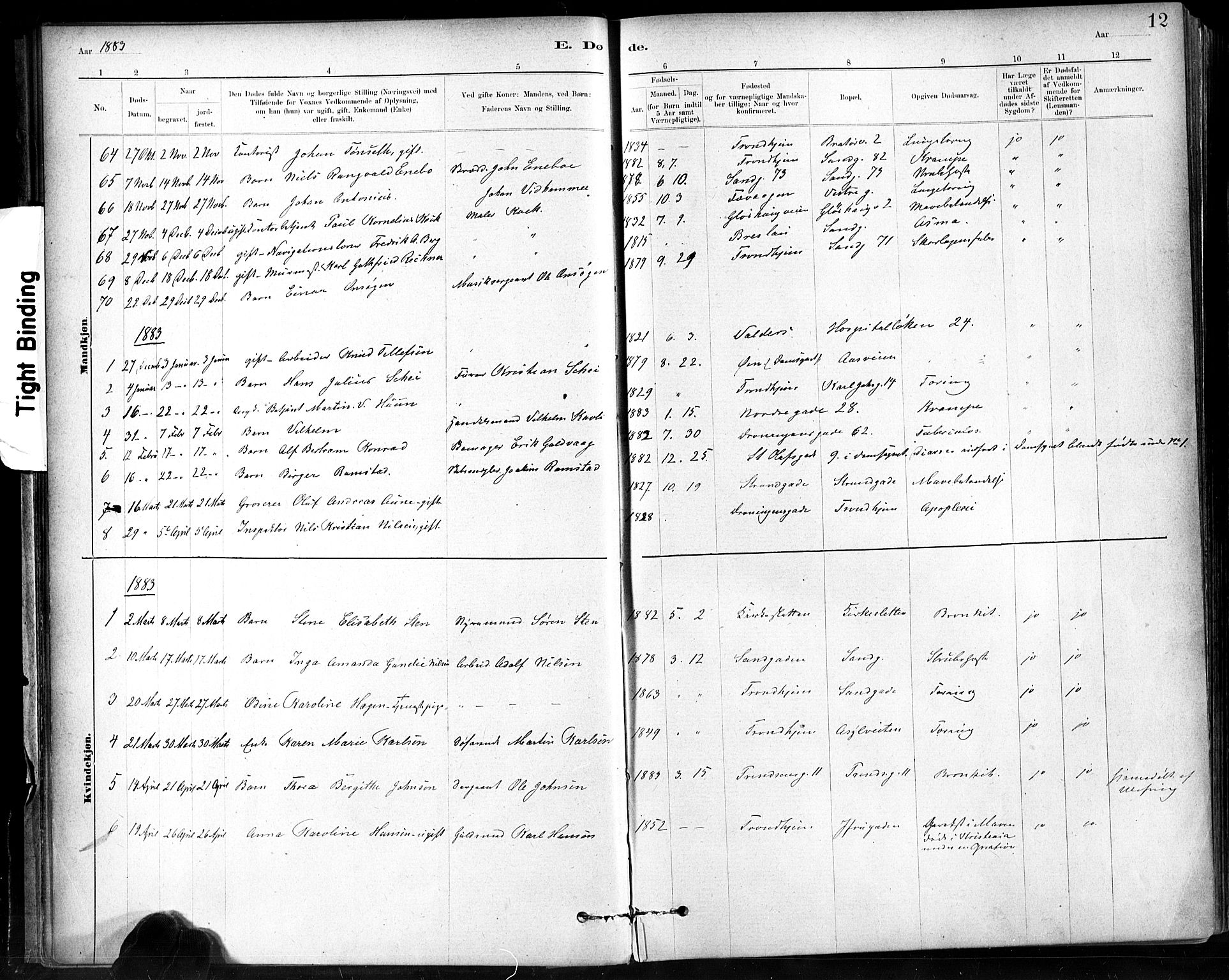 Ministerialprotokoller, klokkerbøker og fødselsregistre - Sør-Trøndelag, SAT/A-1456/602/L0120: Parish register (official) no. 602A18, 1880-1913, p. 12