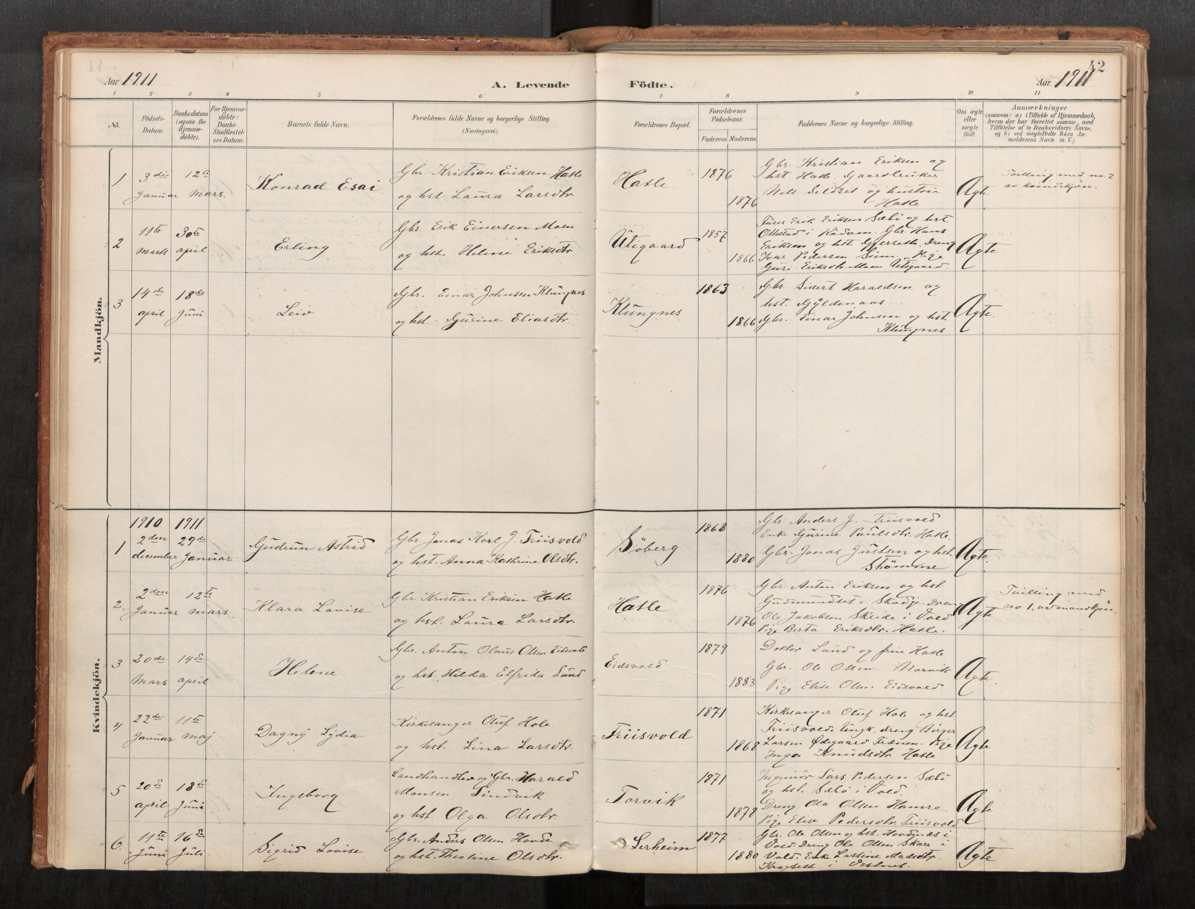 Ministerialprotokoller, klokkerbøker og fødselsregistre - Møre og Romsdal, AV/SAT-A-1454/542/L0553: Parish register (official) no. 542A03, 1885-1925, p. 42