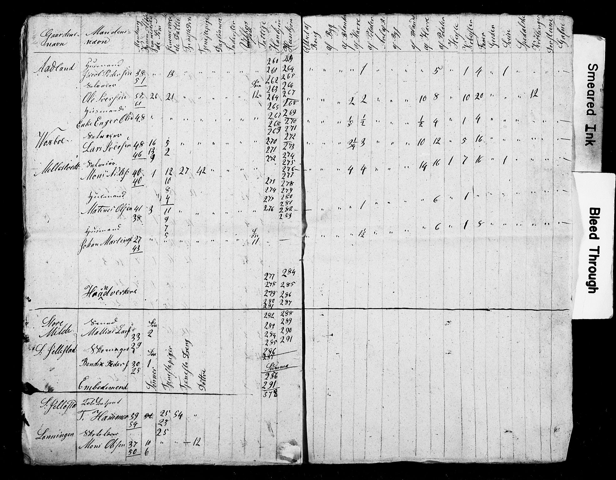 , Census 1845 for Fana, 1845, p. 21