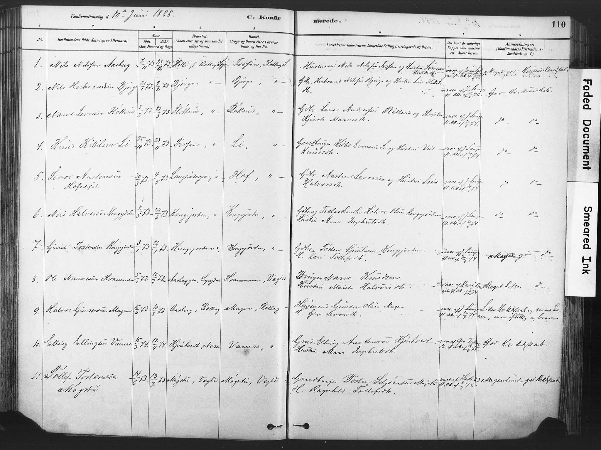 Rollag kirkebøker, SAKO/A-240/F/Fa/L0011: Parish register (official) no. I 11, 1878-1902, p. 110