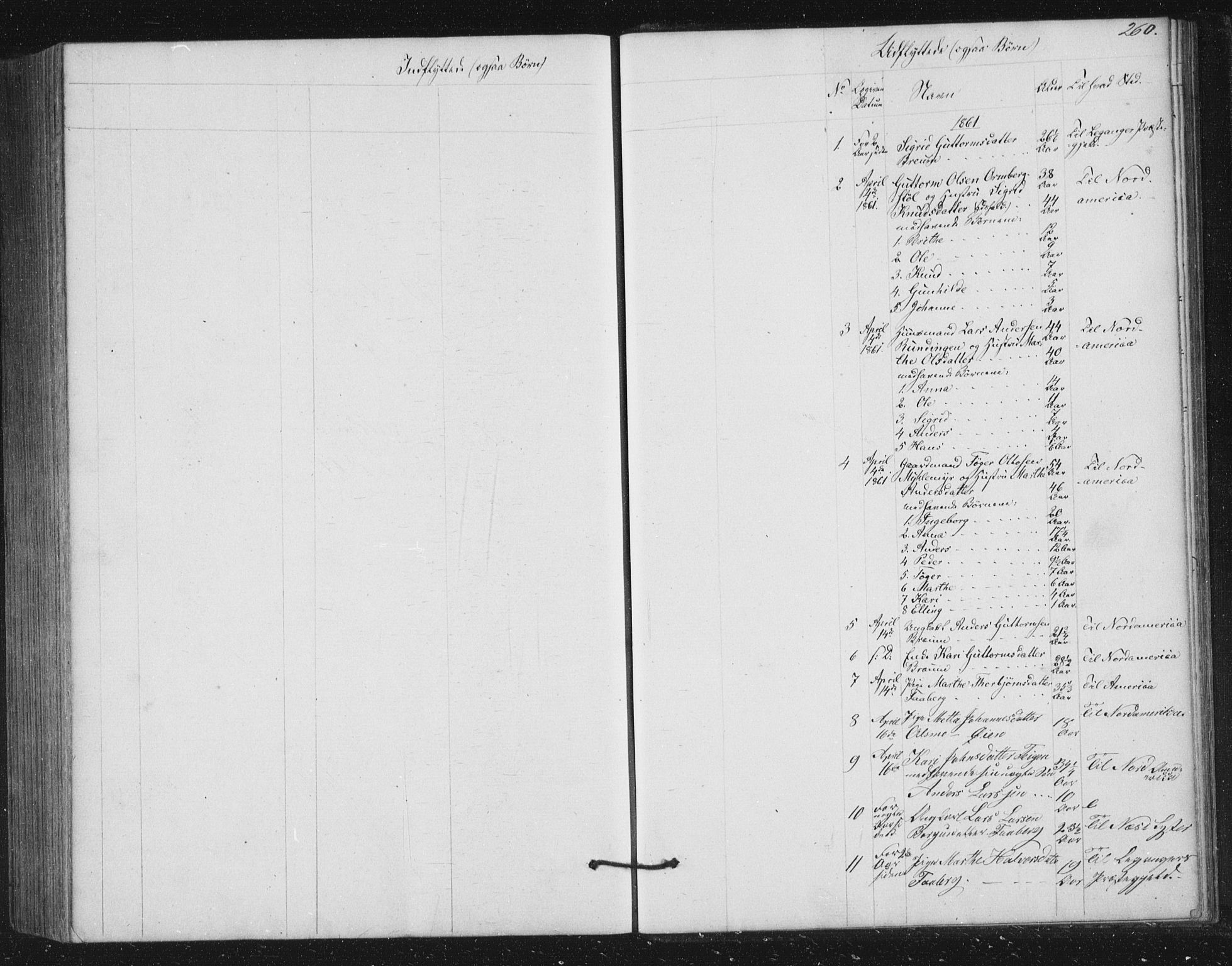 Jostedal sokneprestembete, SAB/A-80601/H/Hab/Haba/L0001: Parish register (copy) no. A 1, 1861-1906, p. 260