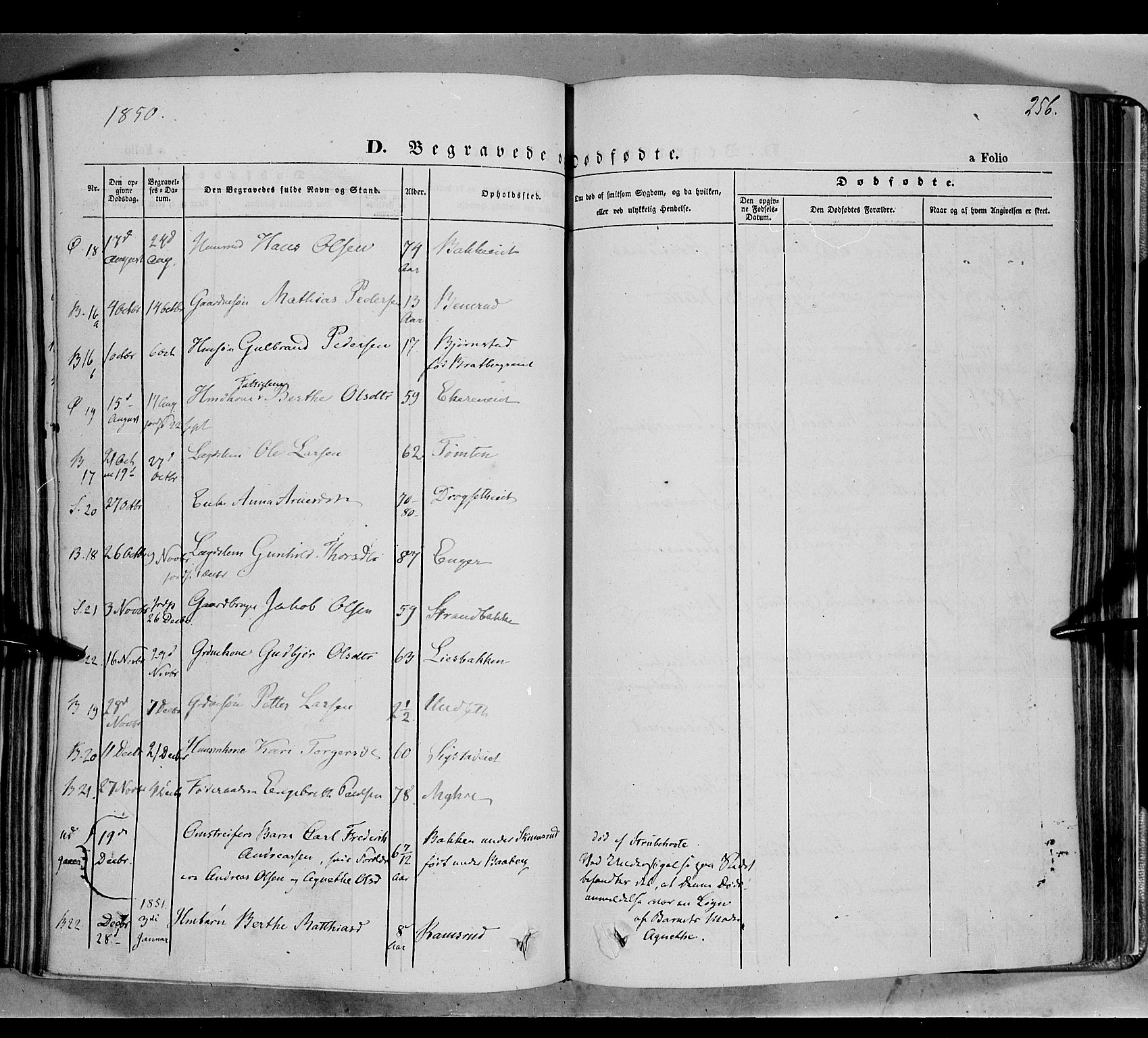 Biri prestekontor, SAH/PREST-096/H/Ha/Haa/L0005: Parish register (official) no. 5, 1843-1854, p. 256