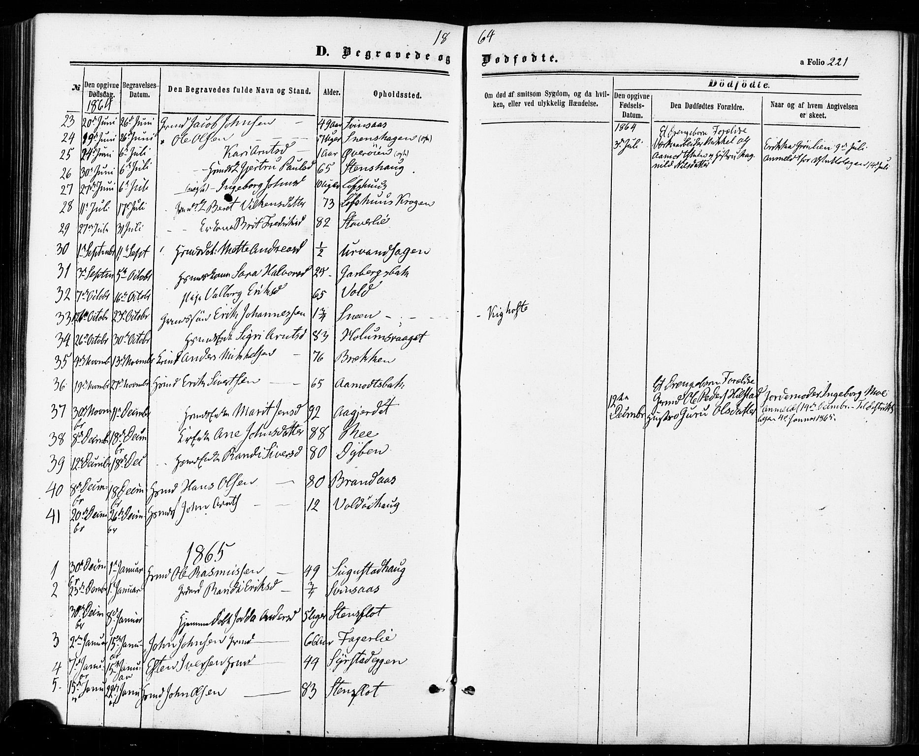 Ministerialprotokoller, klokkerbøker og fødselsregistre - Sør-Trøndelag, SAT/A-1456/672/L0856: Parish register (official) no. 672A08, 1861-1881, p. 221