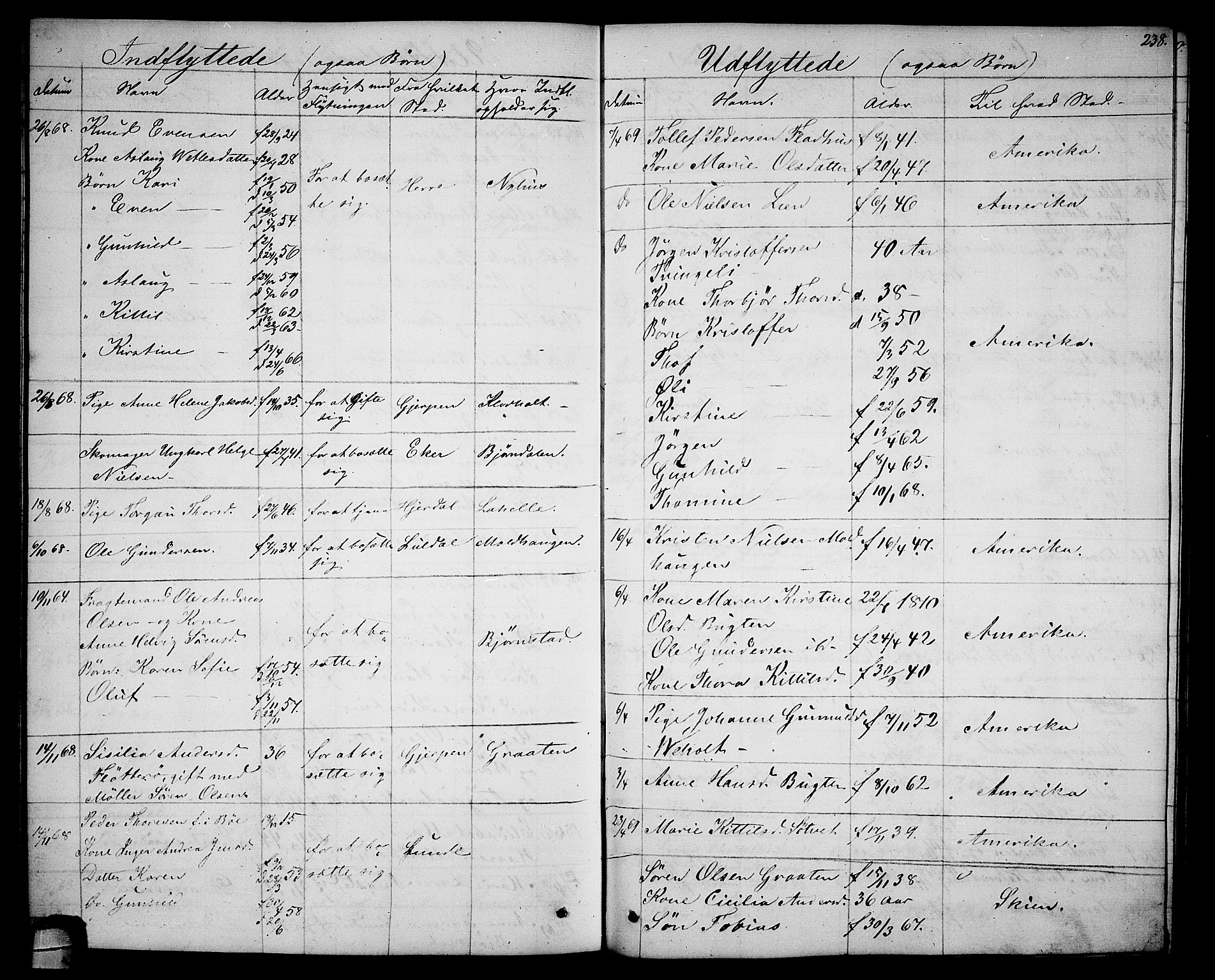 Solum kirkebøker, SAKO/A-306/G/Ga/L0004: Parish register (copy) no. I 4, 1859-1876, p. 238