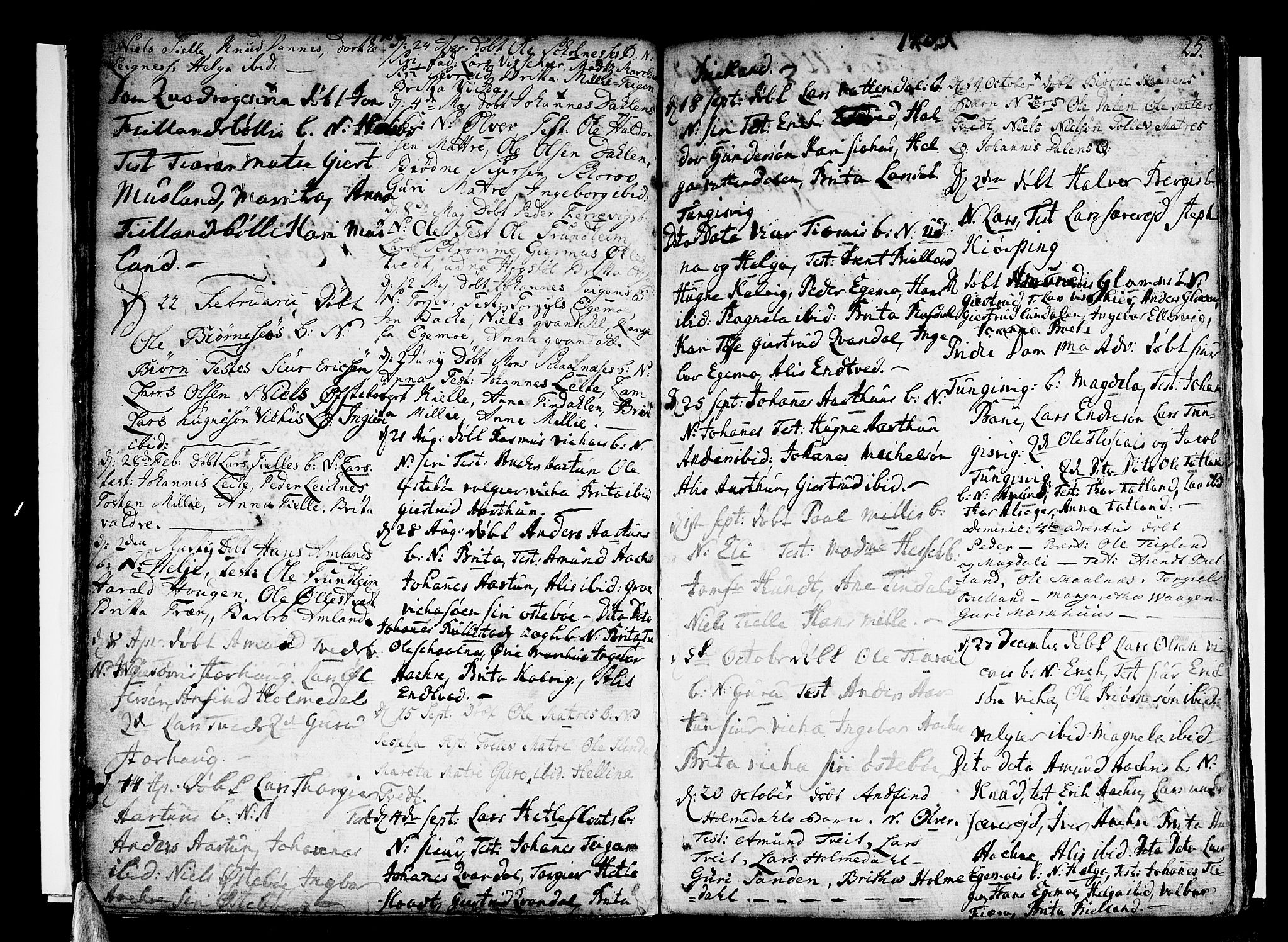 Skånevik sokneprestembete, AV/SAB-A-77801/H/Haa: Parish register (official) no. A 1, 1745-1789, p. 25