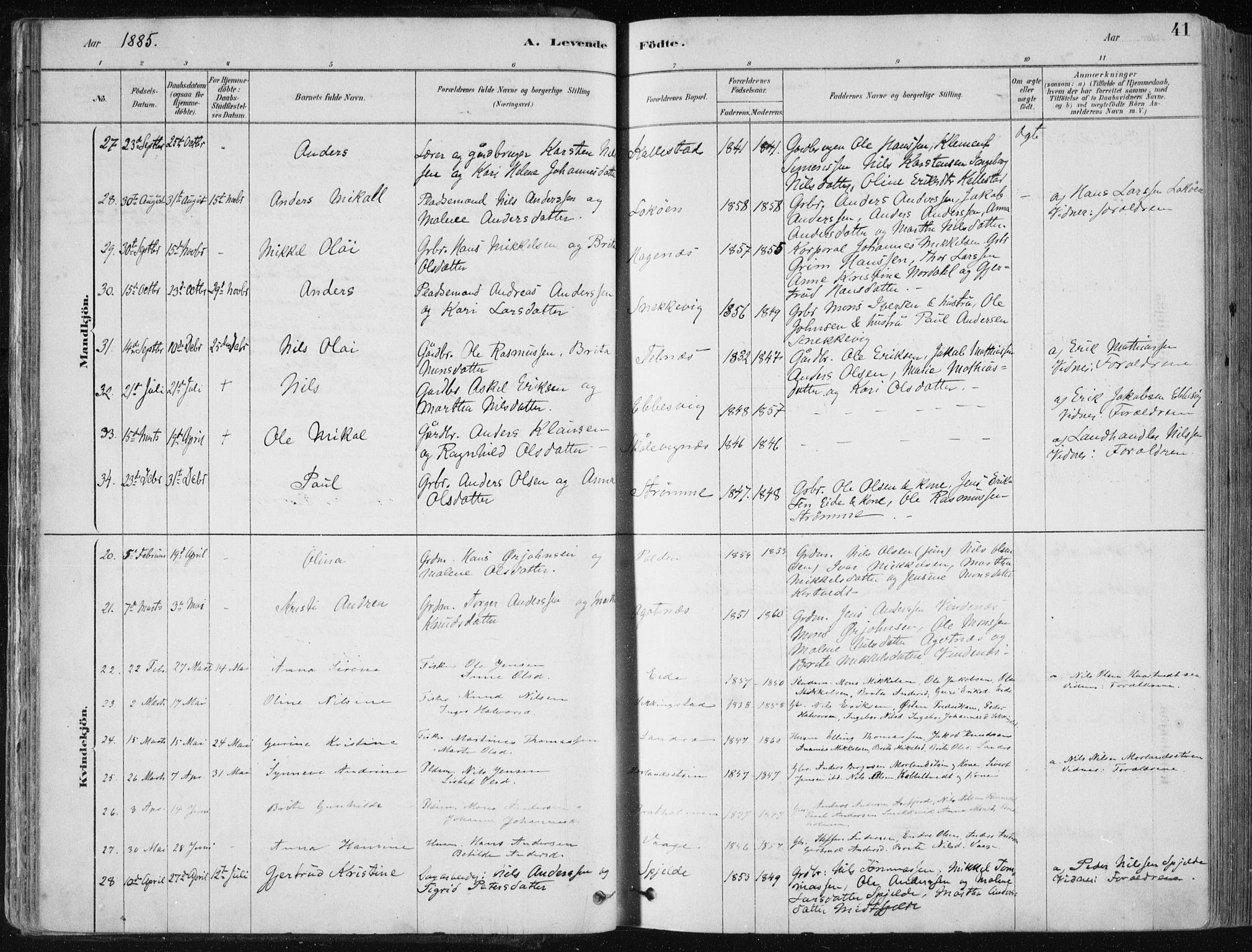 Fjell sokneprestembete, SAB/A-75301/H/Haa: Parish register (official) no. A  8, 1878-1898, p. 41