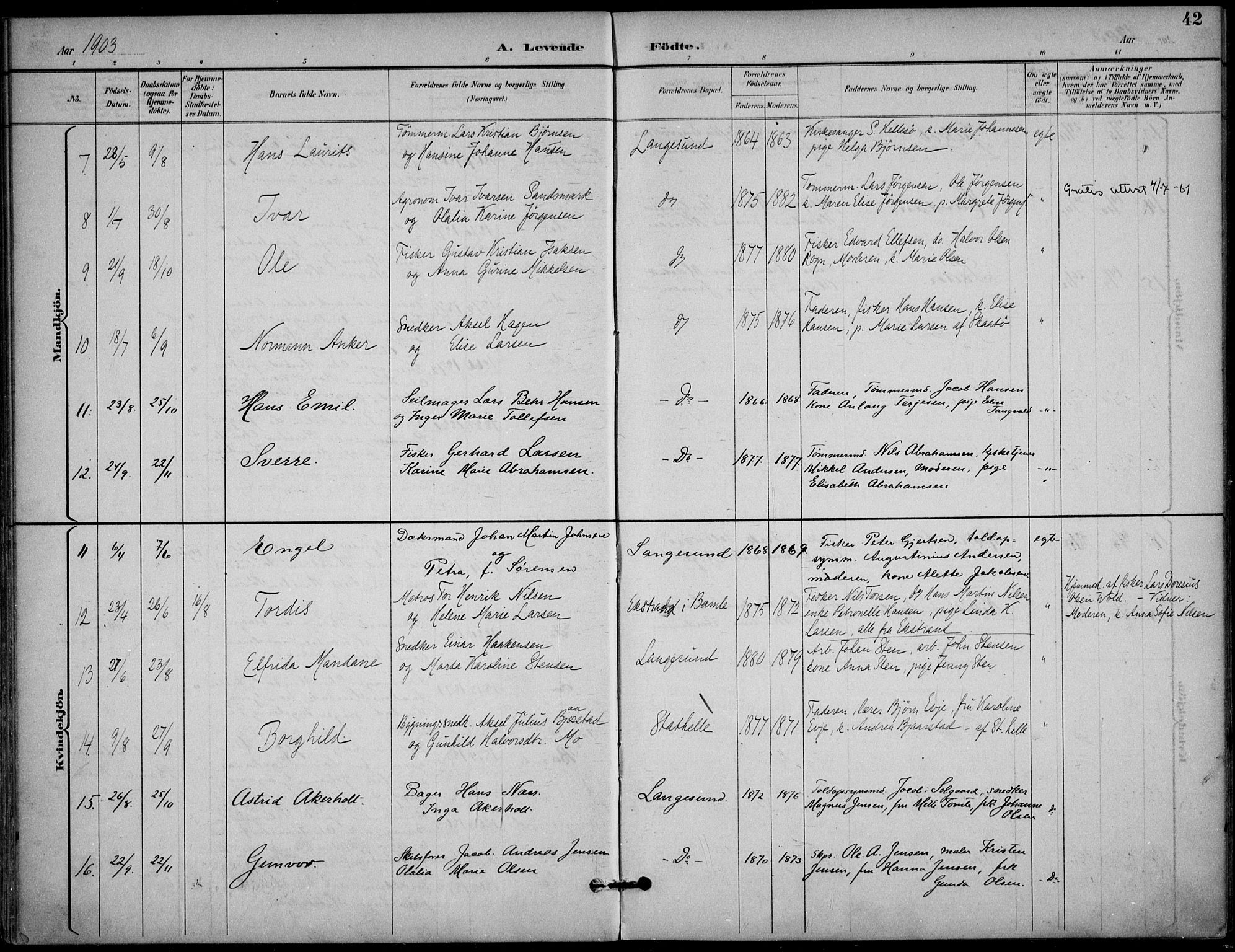 Langesund kirkebøker, SAKO/A-280/F/Fa/L0003: Parish register (official) no. 3, 1893-1907, p. 42
