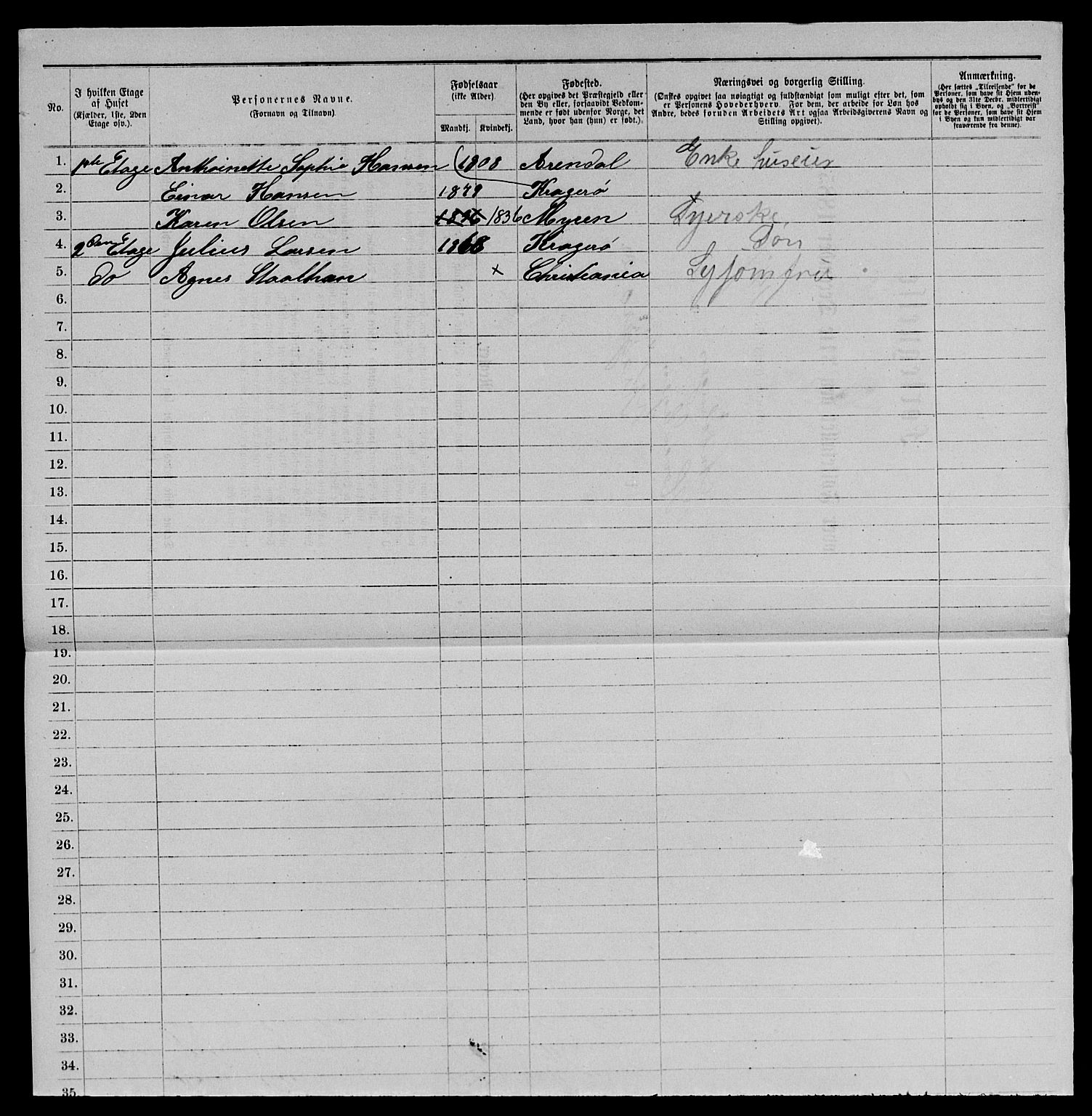 SAKO, 1885 census for 0801 Kragerø, 1885, p. 1317