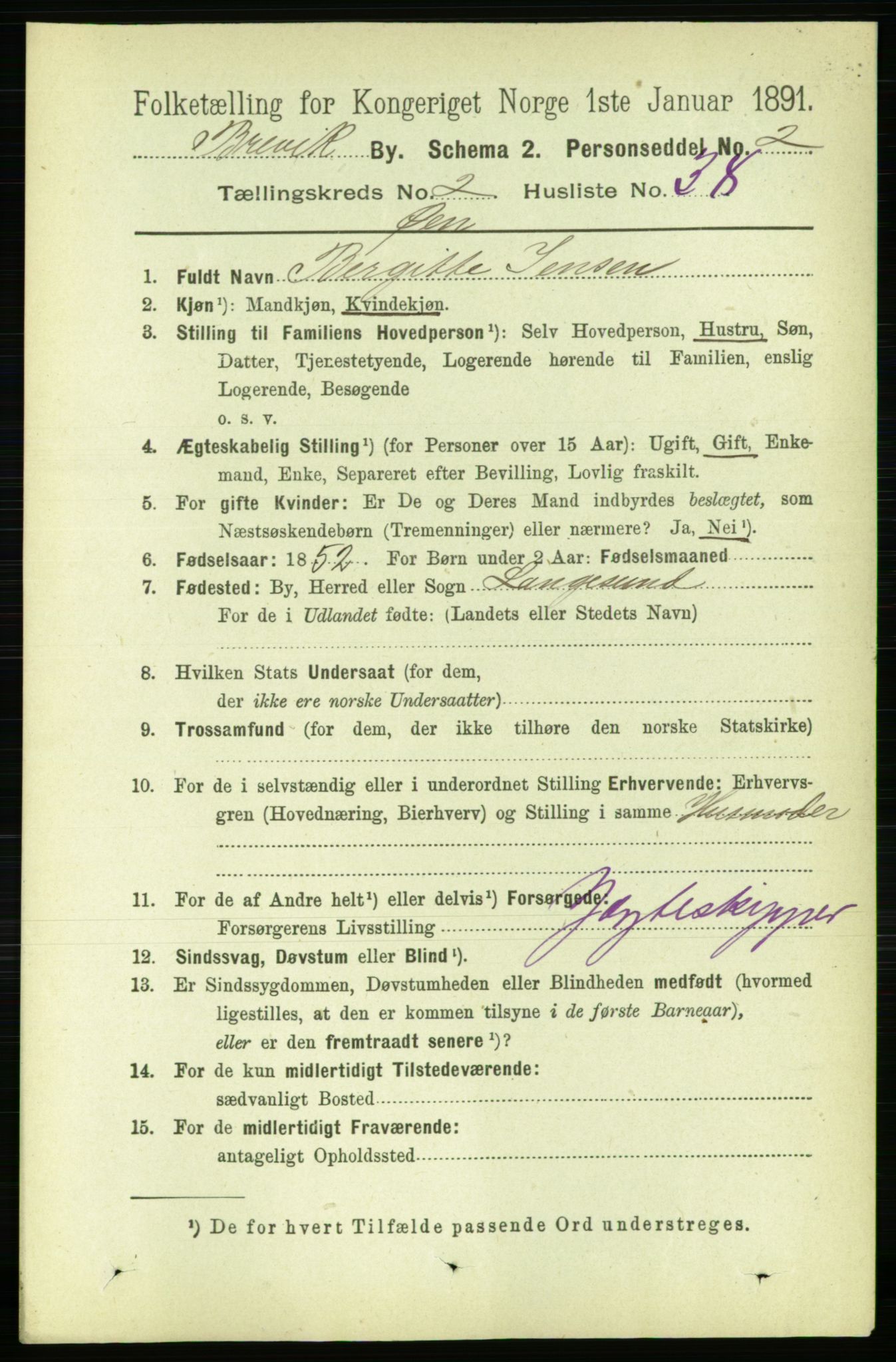 RA, 1891 census for 0804 Brevik, 1891, p. 1846