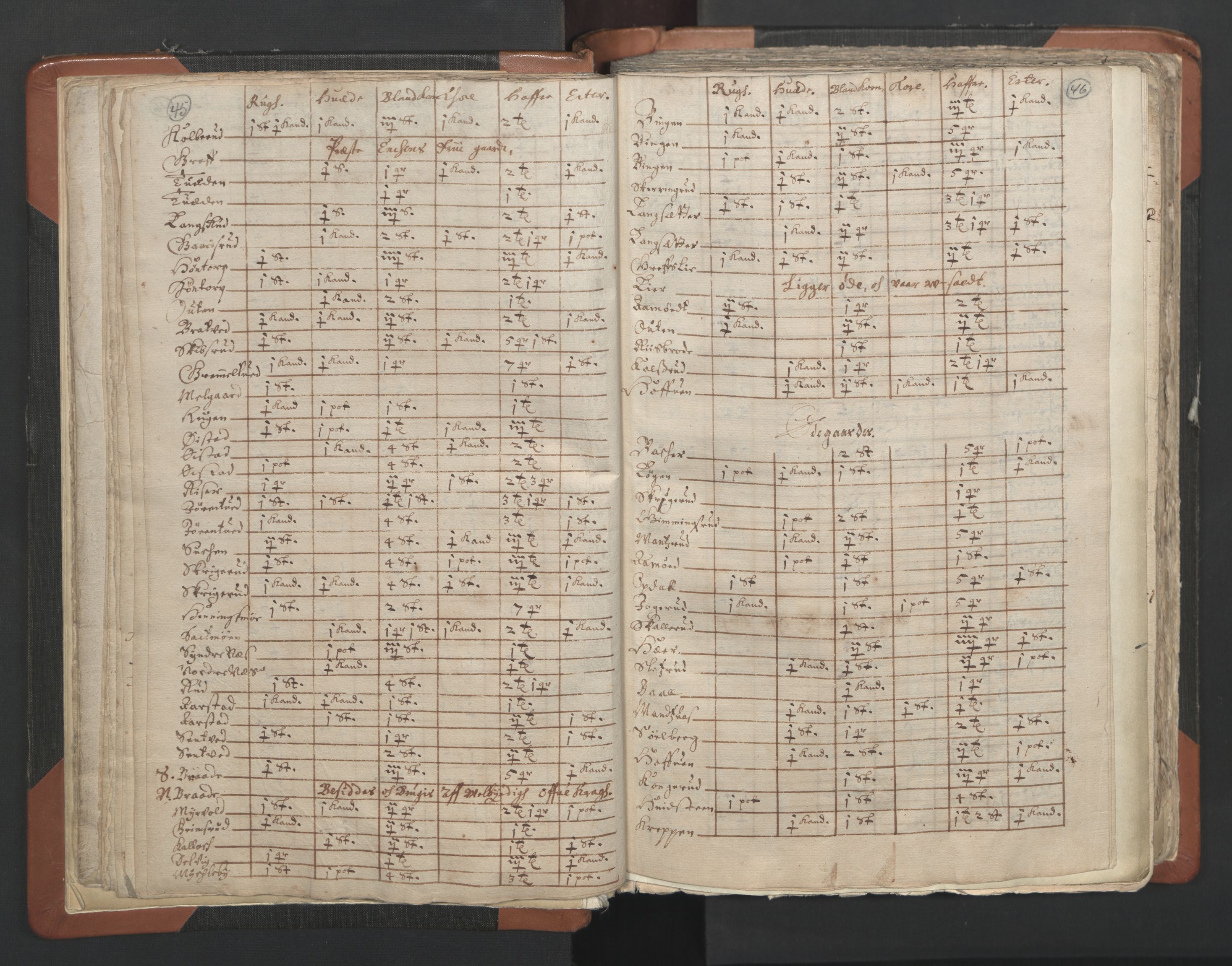 RA, Vicar's Census 1664-1666, no. 2: Øvre Borgesyssel deanery, 1664-1666, p. 45-46