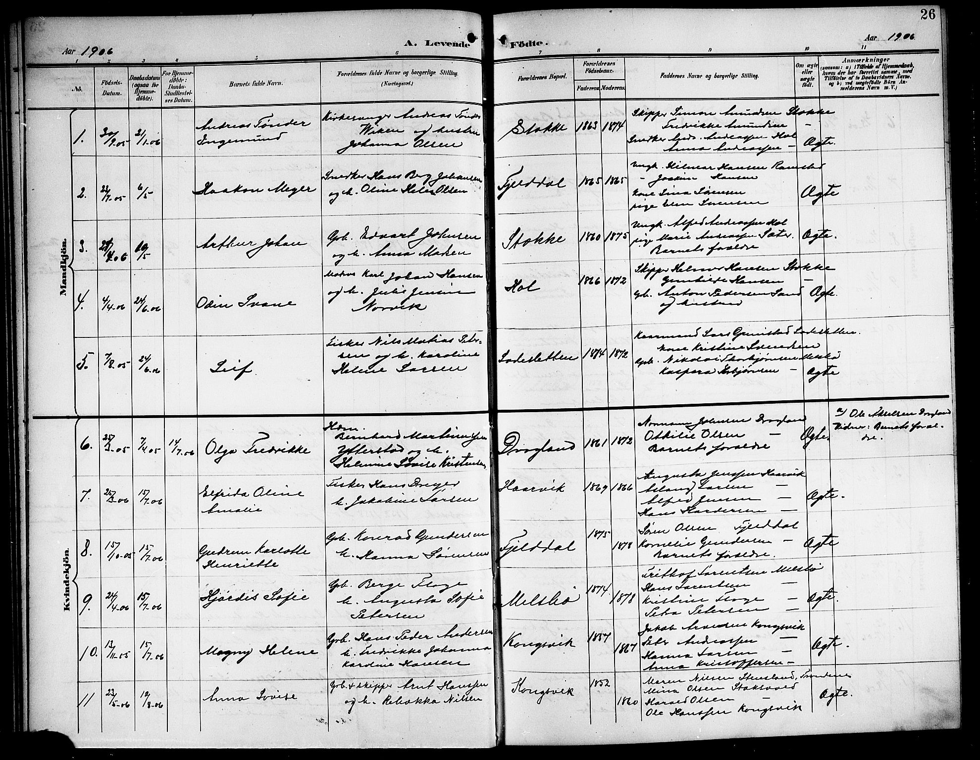 Ministerialprotokoller, klokkerbøker og fødselsregistre - Nordland, AV/SAT-A-1459/865/L0932: Parish register (copy) no. 865C04, 1901-1917, p. 26