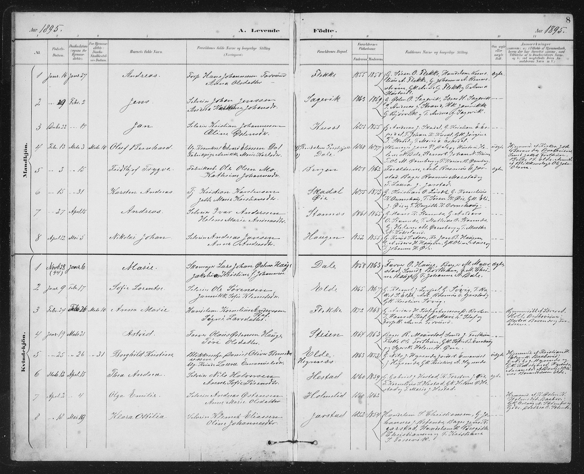 Fjaler sokneprestembete, SAB/A-79801/H/Hab/Habc/L0003: Parish register (copy) no. C 3, 1894-1917, p. 8