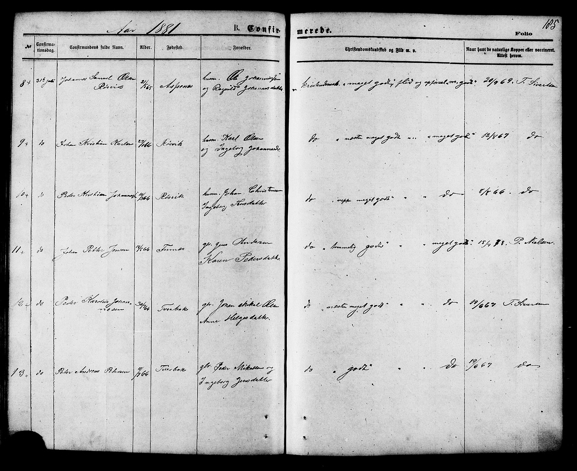 Ministerialprotokoller, klokkerbøker og fødselsregistre - Nordland, AV/SAT-A-1459/853/L0771: Parish register (official) no. 853A10, 1870-1881, p. 185