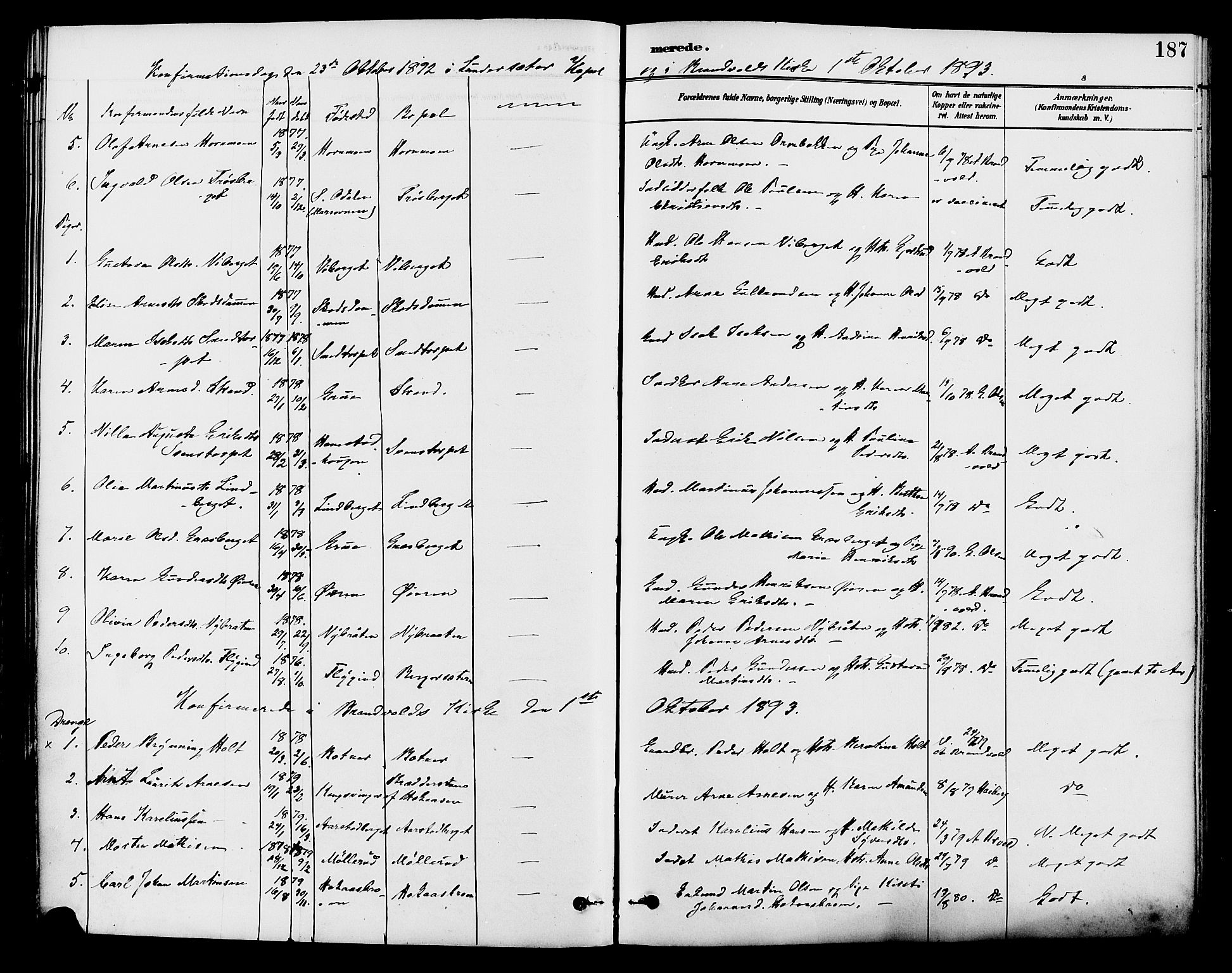 Brandval prestekontor, SAH/PREST-034/H/Ha/Haa/L0002: Parish register (official) no. 2, 1880-1894, p. 187