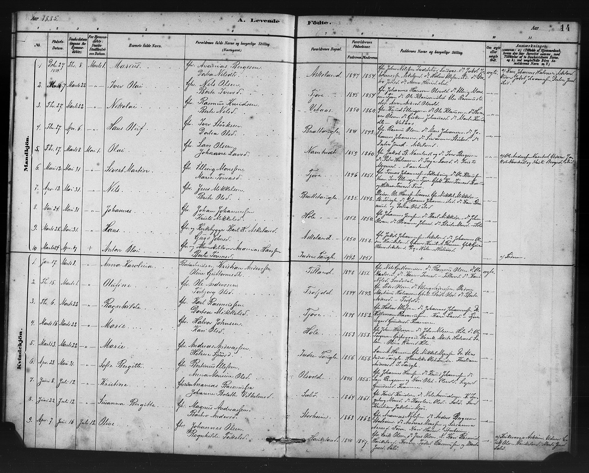 Manger sokneprestembete, AV/SAB-A-76801/H/Haa: Parish register (official) no. D 1, 1881-1892, p. 14