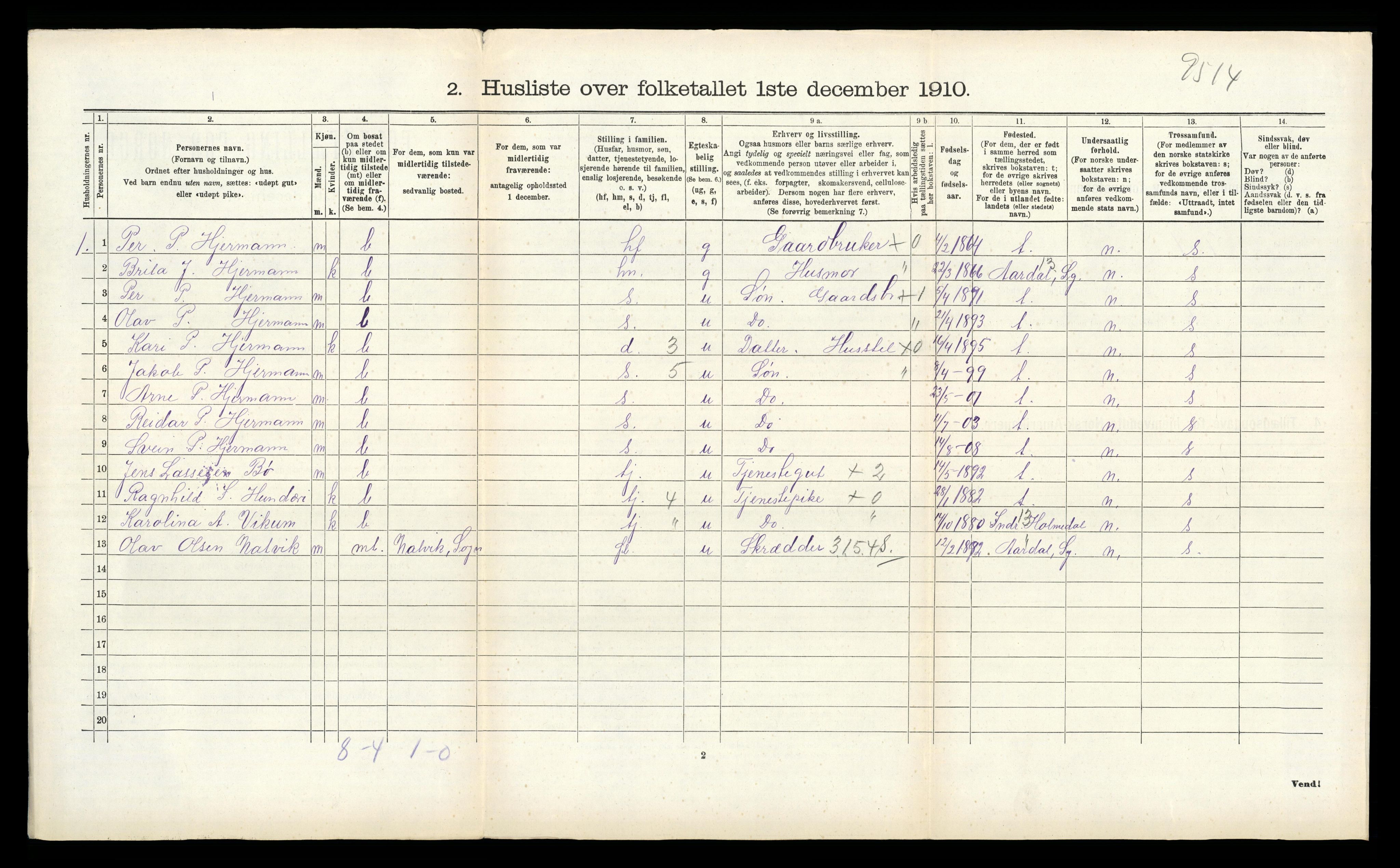 RA, 1910 census for Lærdal, 1910, p. 407