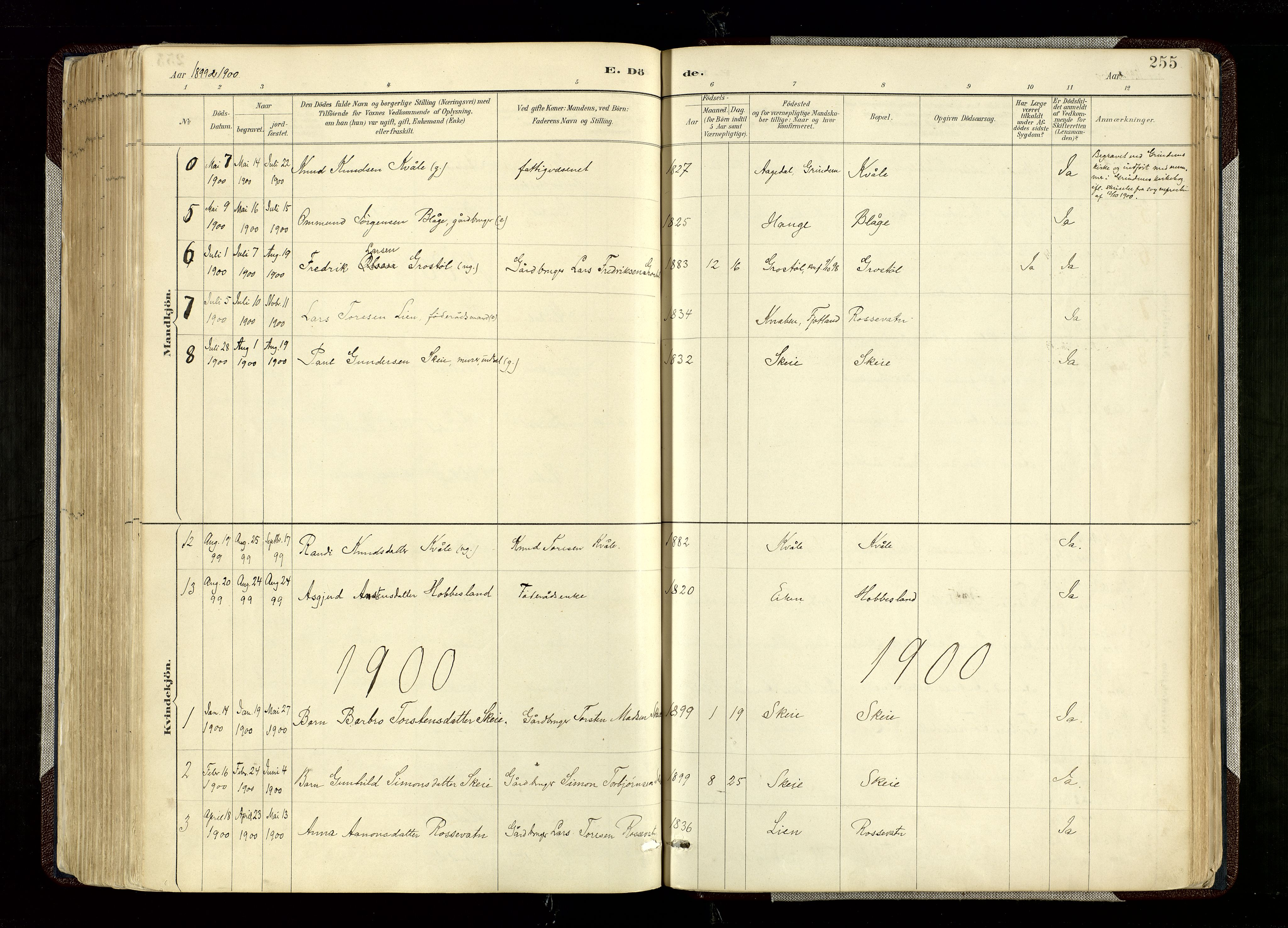 Hægebostad sokneprestkontor, SAK/1111-0024/F/Fa/Fab/L0004: Parish register (official) no. A 4, 1887-1929, p. 255