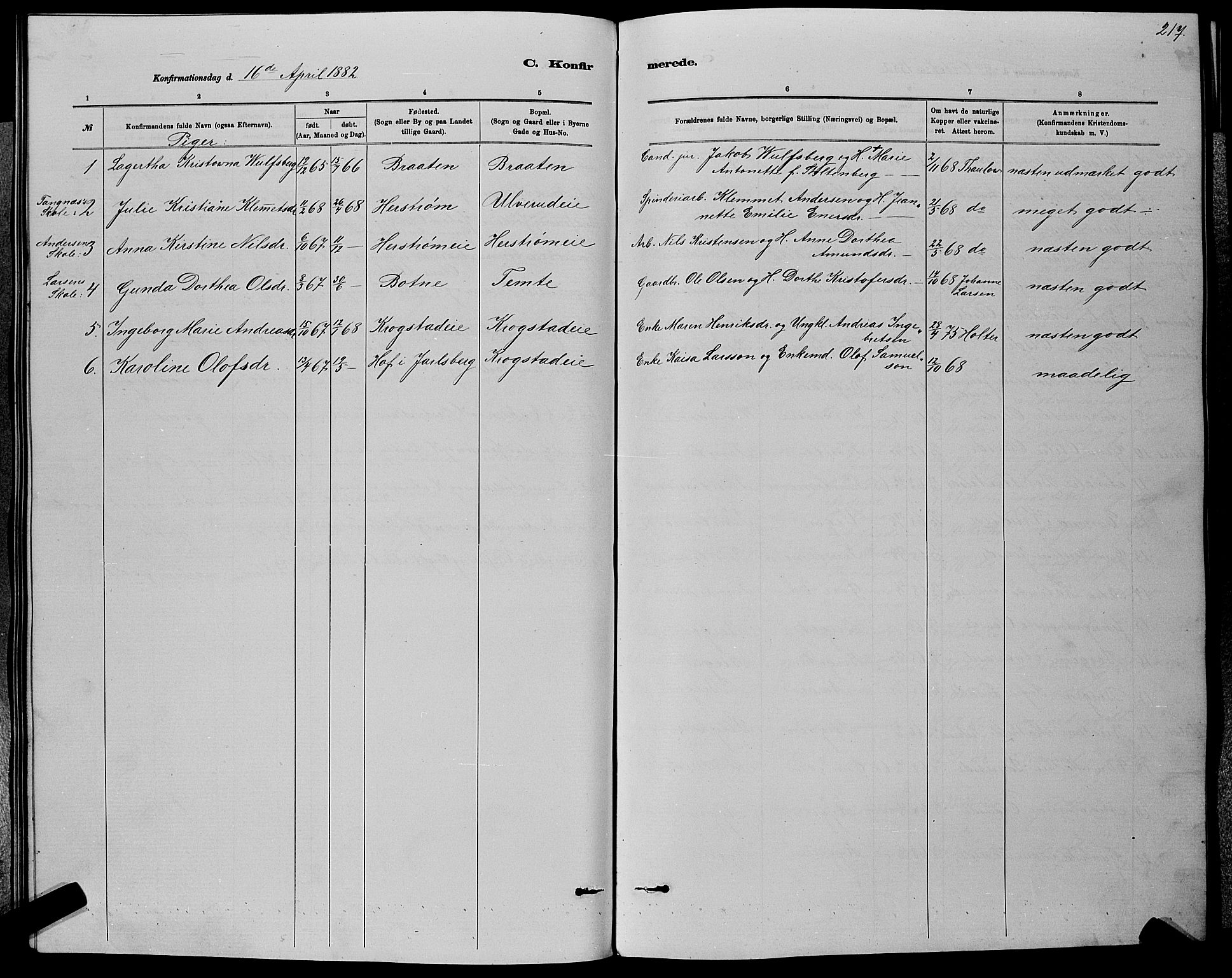 Nedre Eiker kirkebøker, AV/SAKO-A-612/G/Ga/L0002: Parish register (copy) no. 2, 1880-1896, p. 217