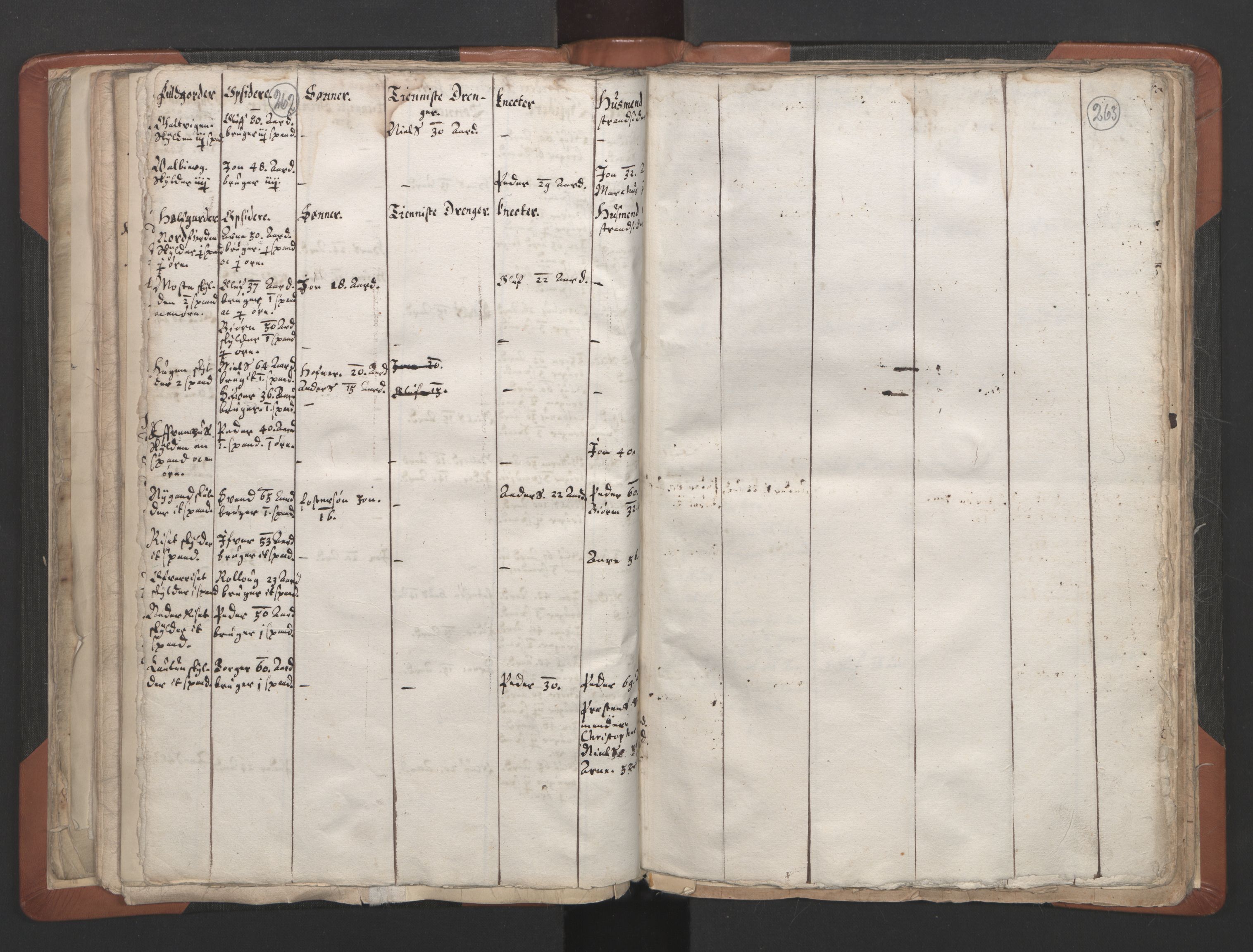 RA, Vicar's Census 1664-1666, no. 32: Innherad deanery, 1664-1666, p. 262-263