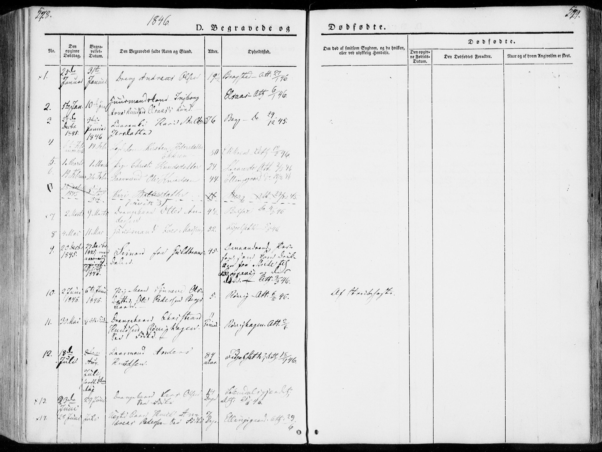 Ministerialprotokoller, klokkerbøker og fødselsregistre - Møre og Romsdal, SAT/A-1454/555/L0653: Parish register (official) no. 555A04, 1843-1869, p. 528-529