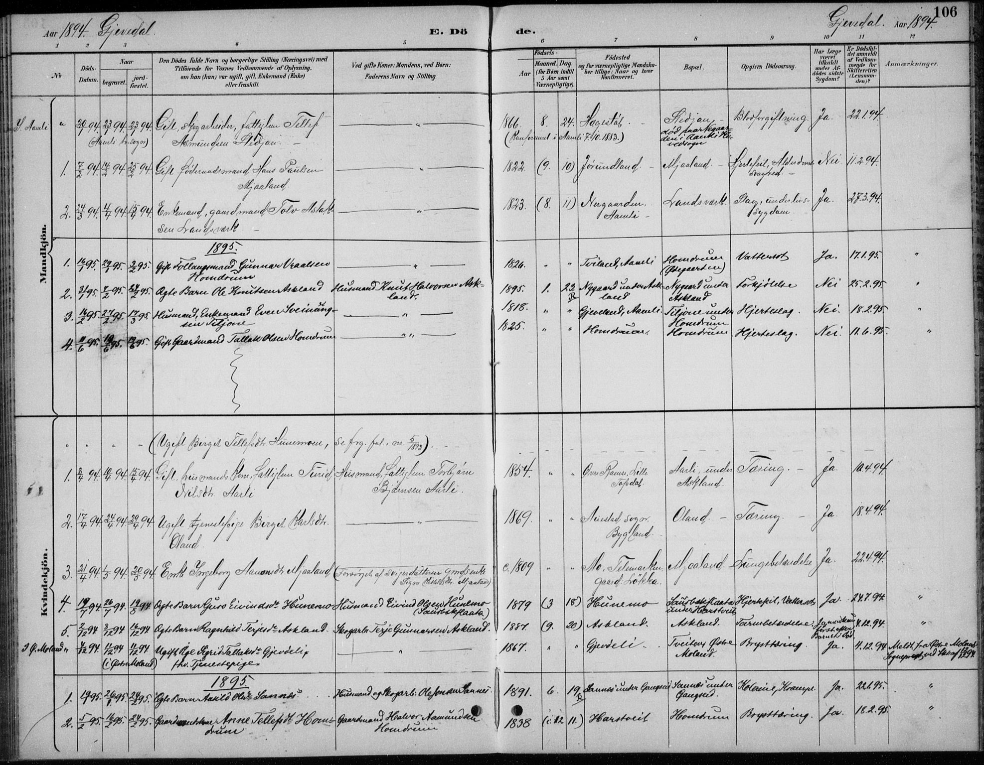 Åmli sokneprestkontor, AV/SAK-1111-0050/F/Fb/Fba/L0002: Parish register (copy) no. B 2, 1890-1912, p. 106