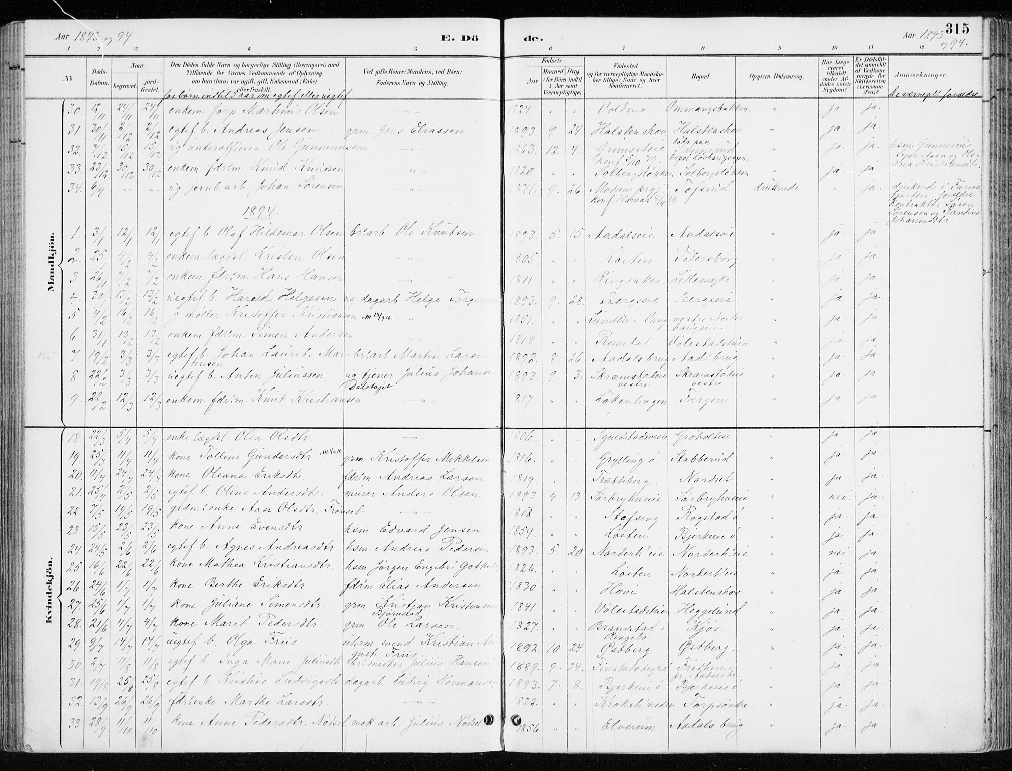 Løten prestekontor, AV/SAH-PREST-022/K/Ka/L0010: Parish register (official) no. 10, 1892-1907, p. 315