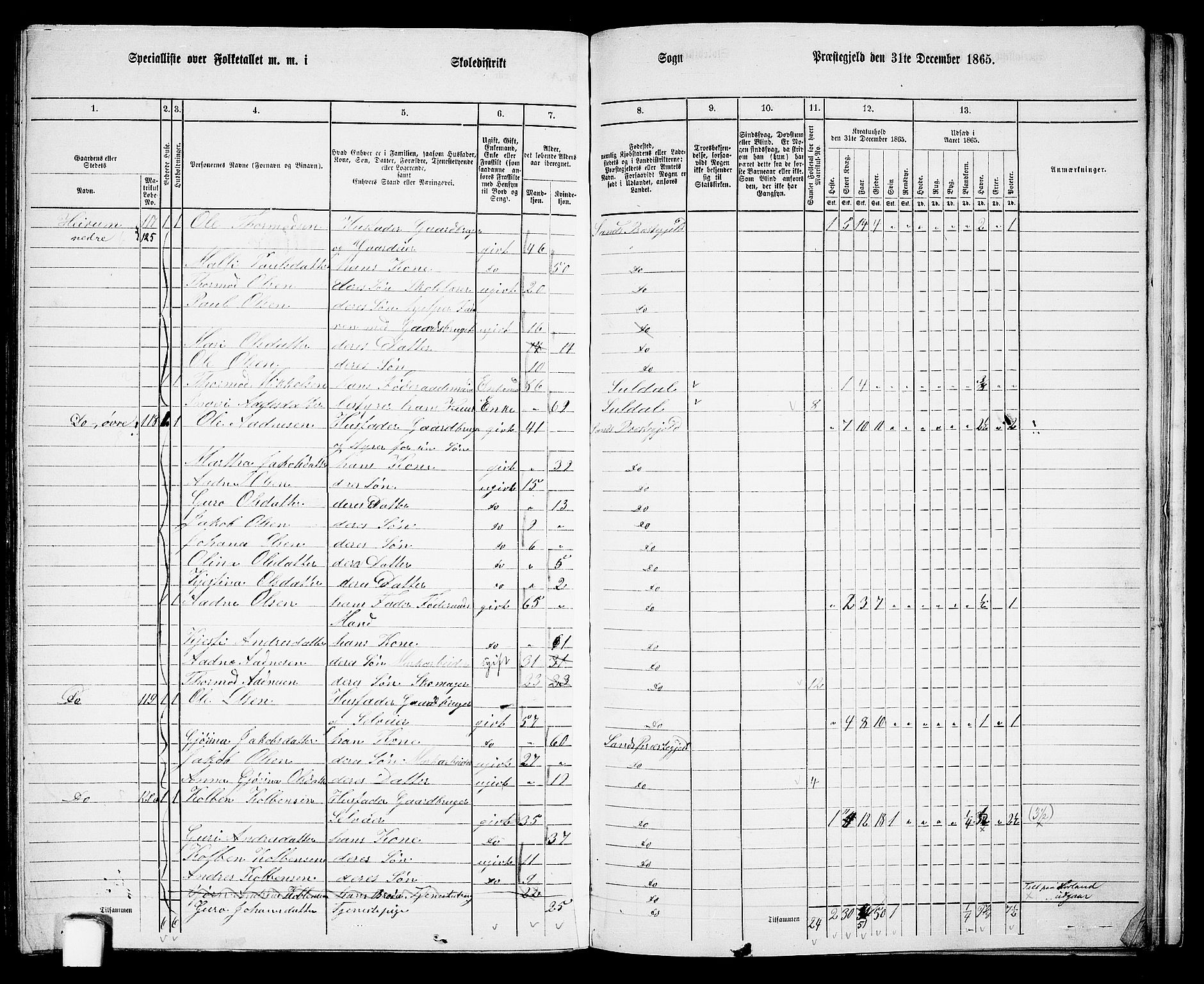 RA, 1865 census for Sand, 1865, p. 129
