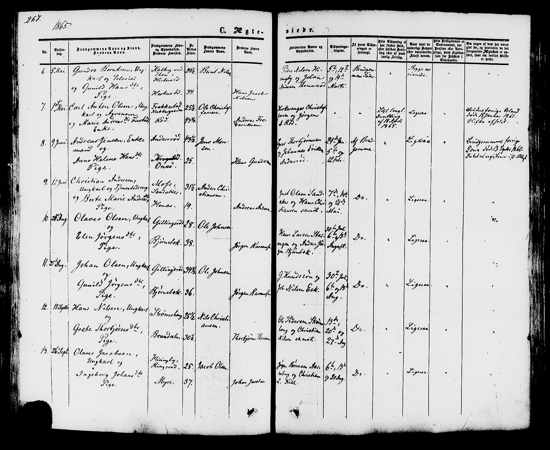 Råde prestekontor kirkebøker, AV/SAO-A-2009/F/Fa/L0006: Parish register (official) no. 6, 1854-1877, p. 267